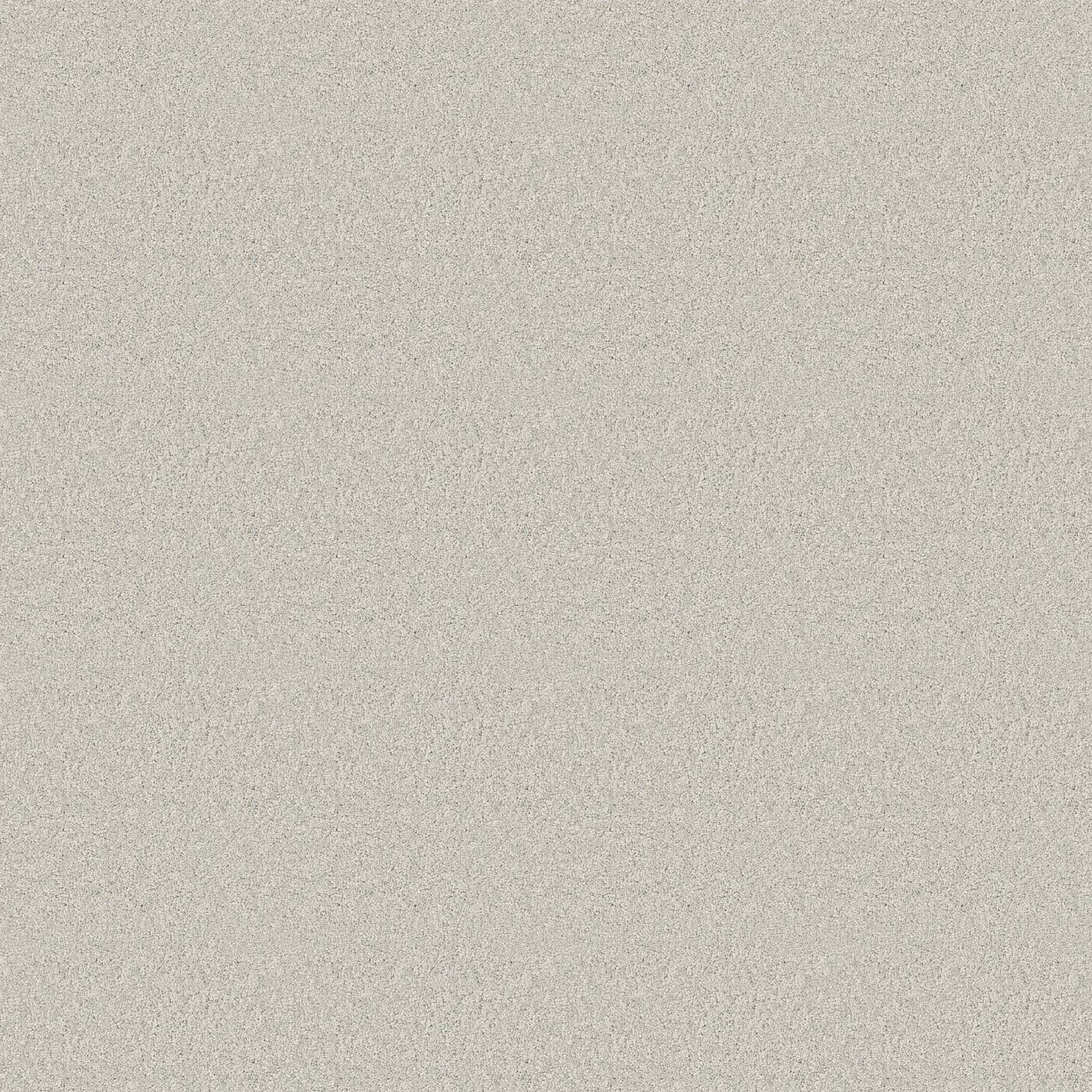 Enduring Charm Carpet - Icy Morn Zoomed Swatch Image