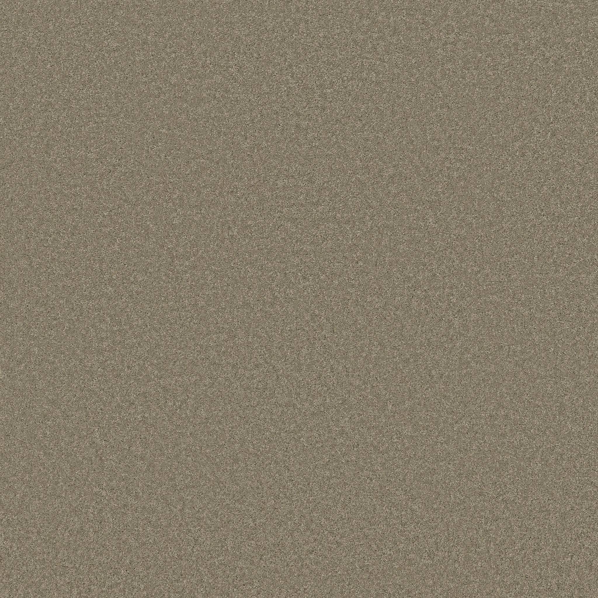 Enduring Charm Carpet - Slate Zoomed Swatch Image