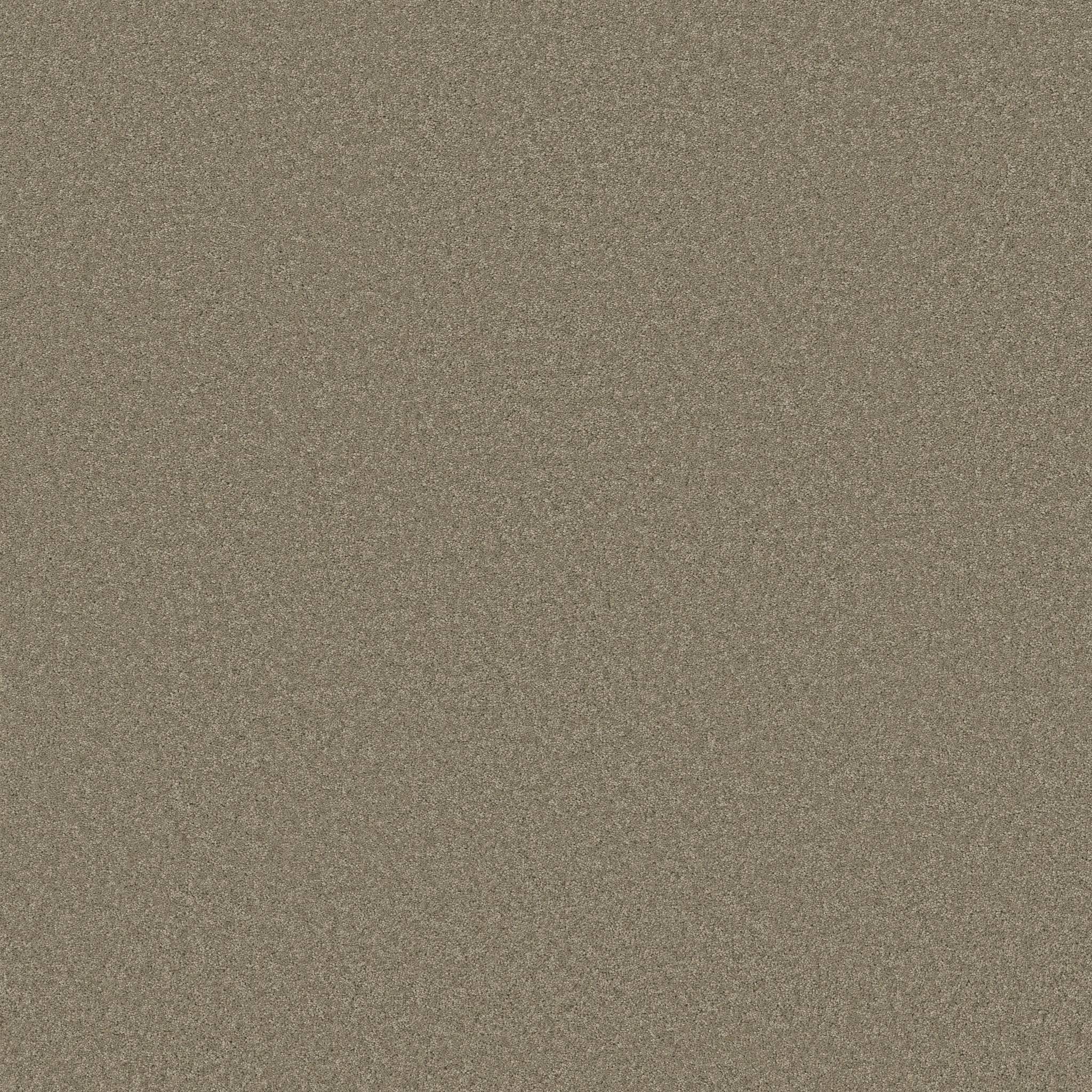 Enduring Charm Carpet - Slate Zoomed Swatch Image