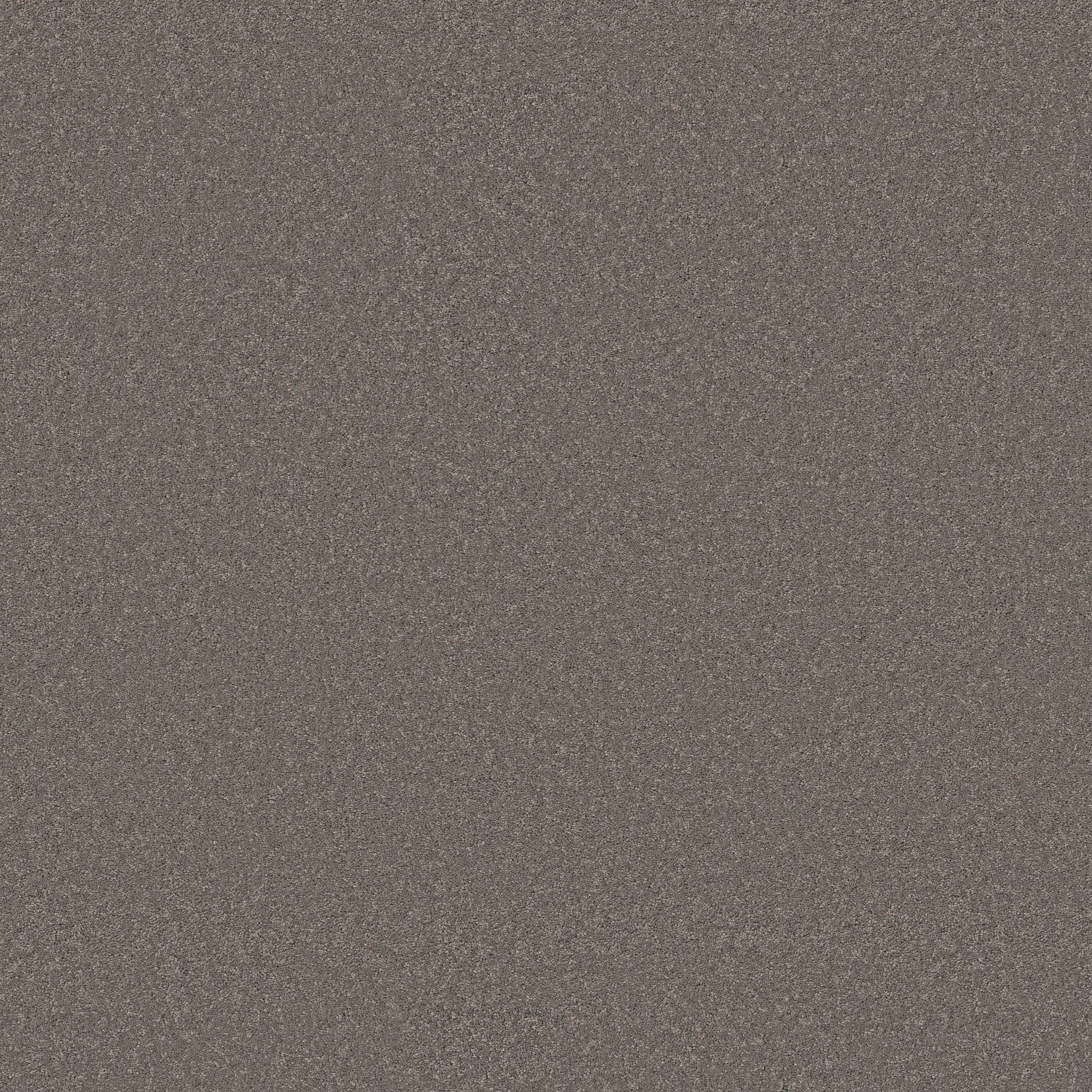 Enduring Charm Carpet - Lunar Rock Zoomed Swatch Image
