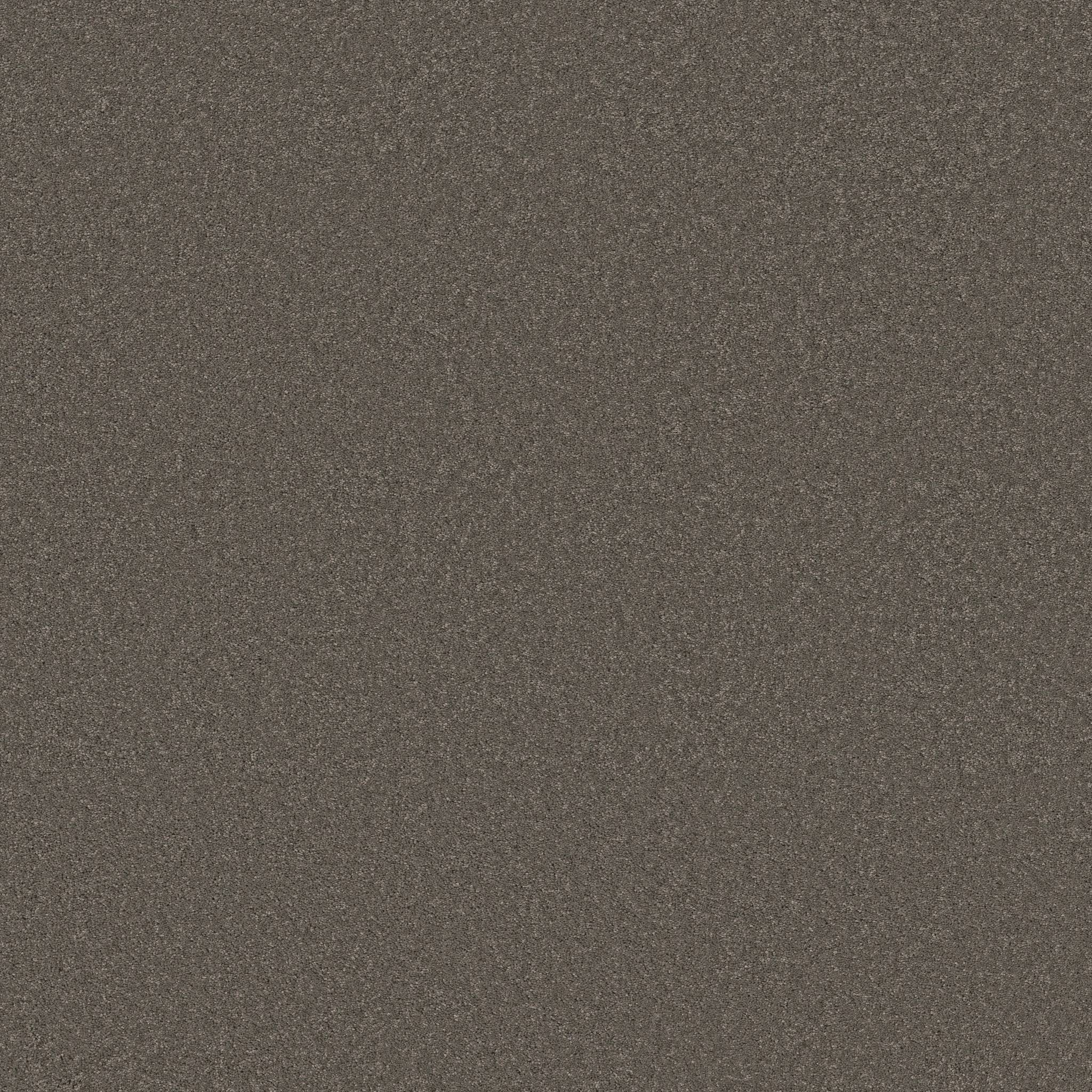 Enduring Charm Carpet - Highrise Zoomed Swatch Image