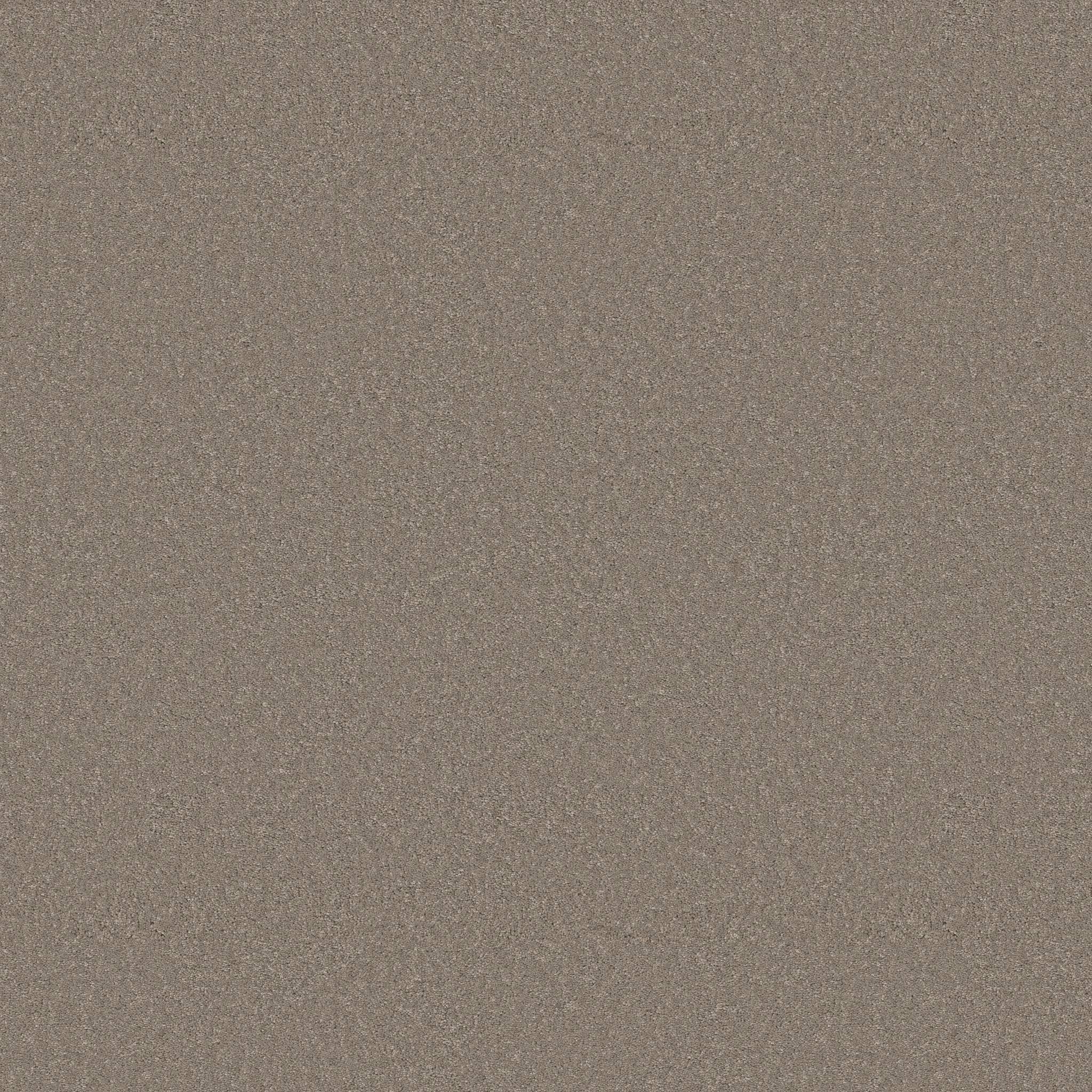 Enduring Charm Carpet - Atmosphere Zoomed Swatch Image