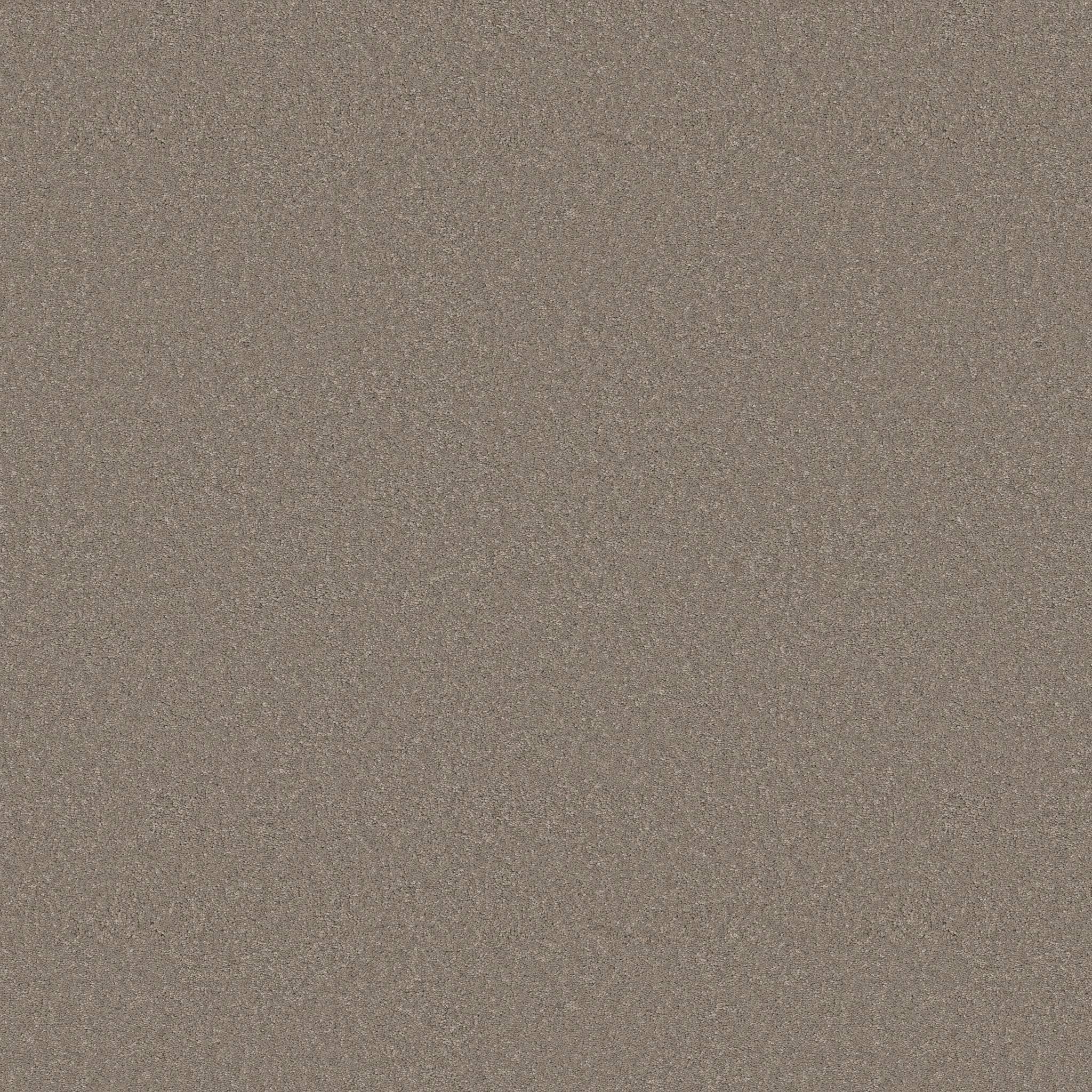 Enduring Charm Carpet - Atmosphere Zoomed Swatch Image