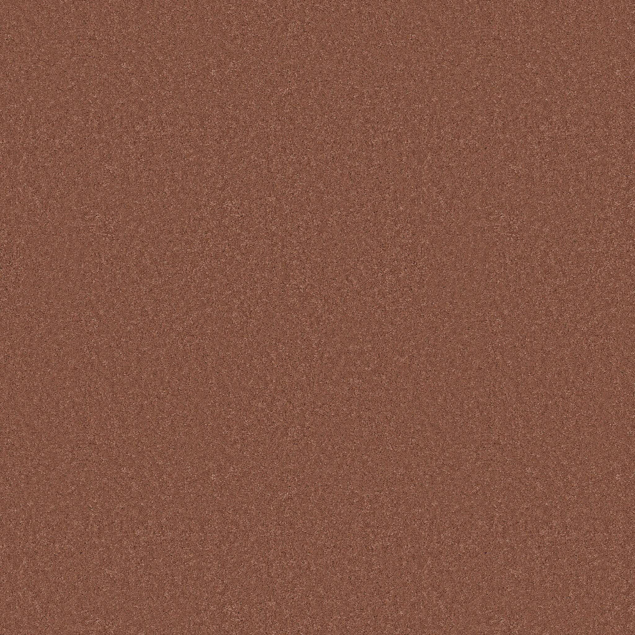Enduring Charm Carpet - Clay Zoomed Swatch Image