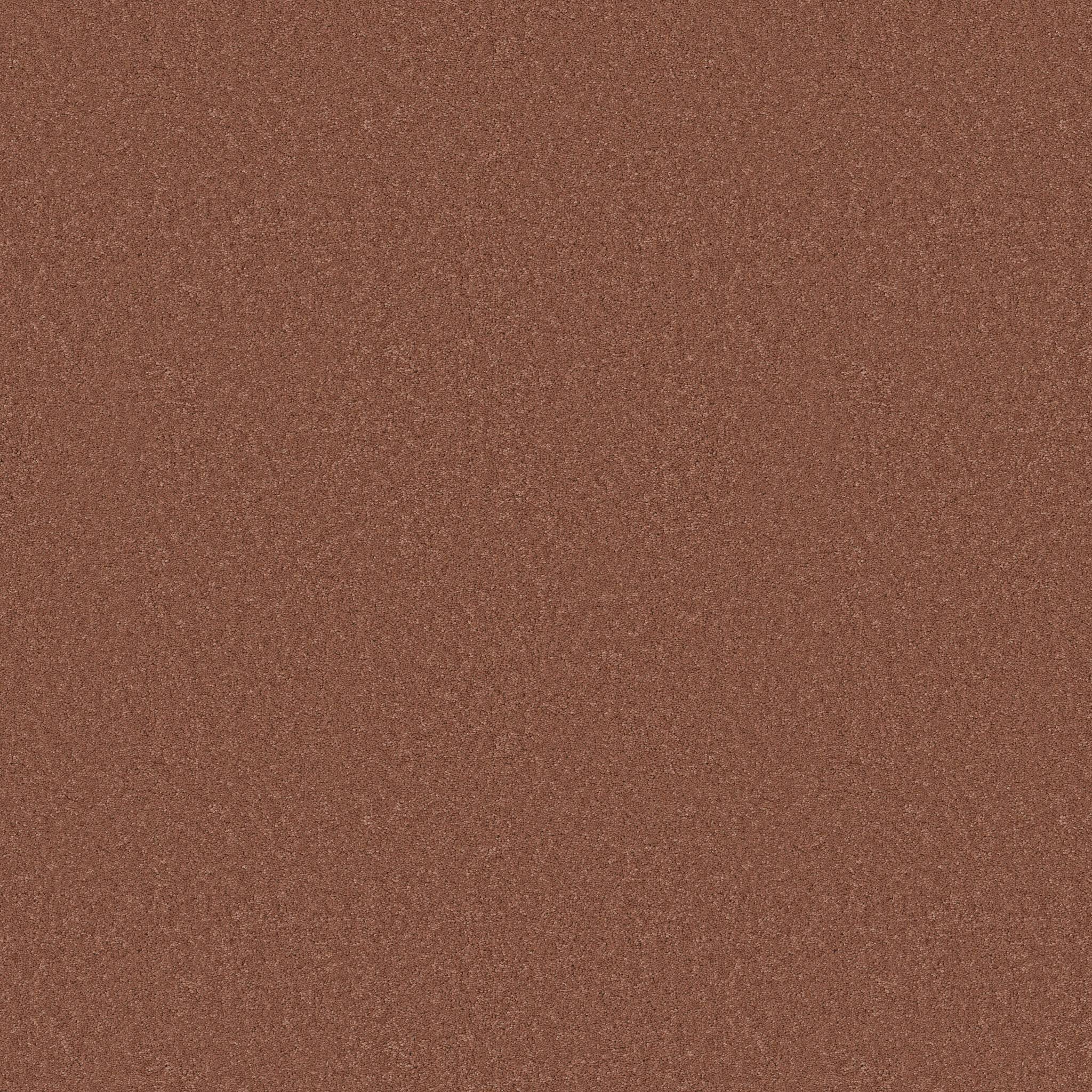 Enduring Charm Carpet - Clay Zoomed Swatch Image