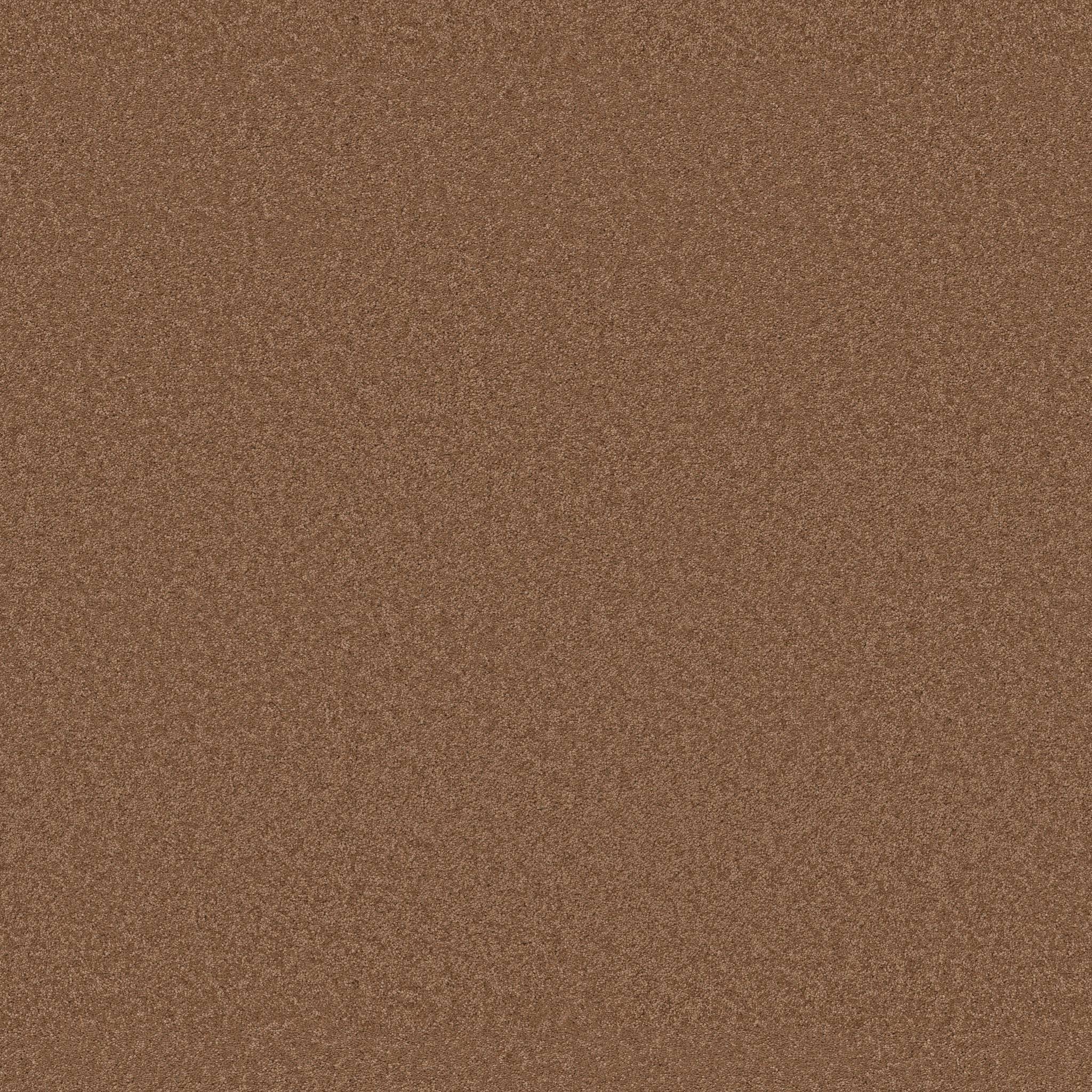 Enduring Charm Carpet - Autumn Glaze Zoomed Swatch Image