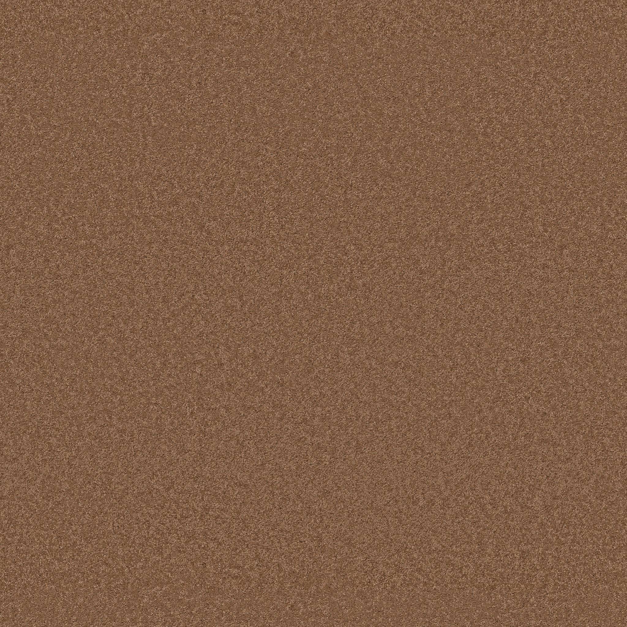 Enduring Charm Carpet - Autumn Glaze Zoomed Swatch Image