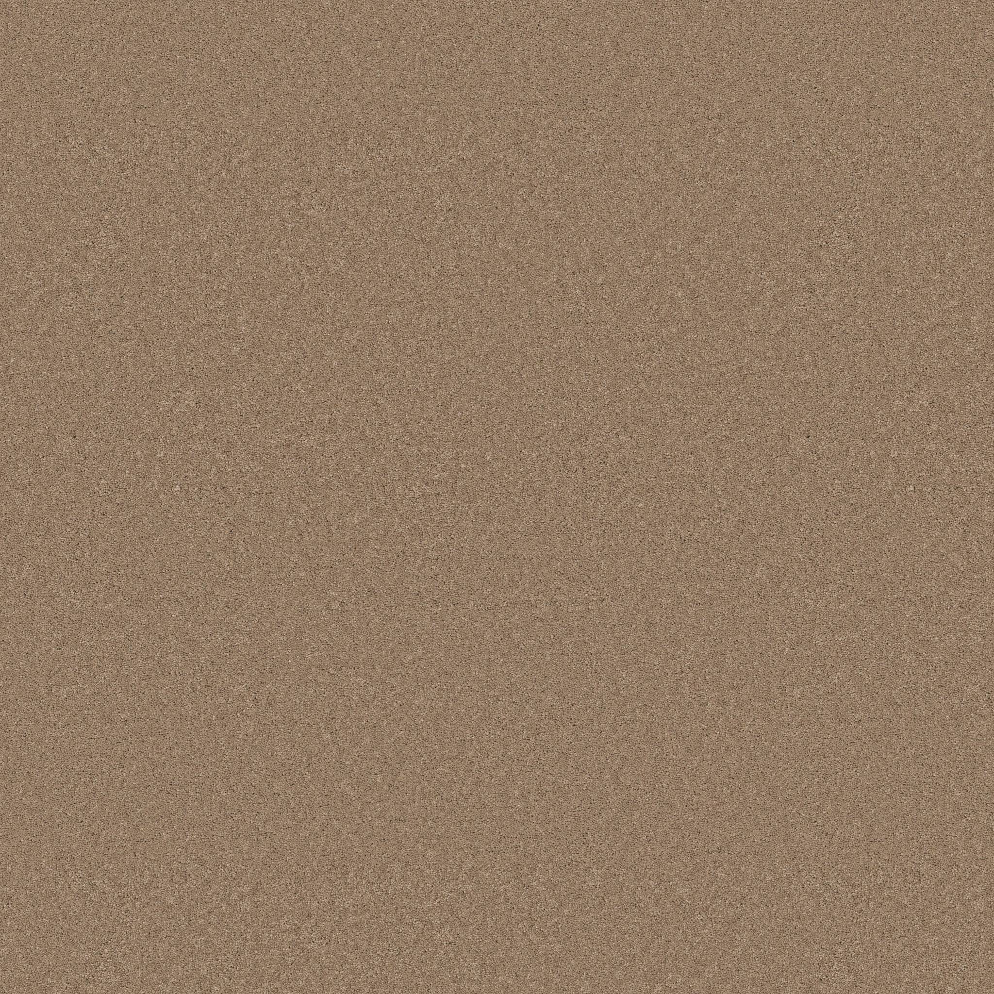 Enduring Charm Carpet - Biscotti Zoomed Swatch Image