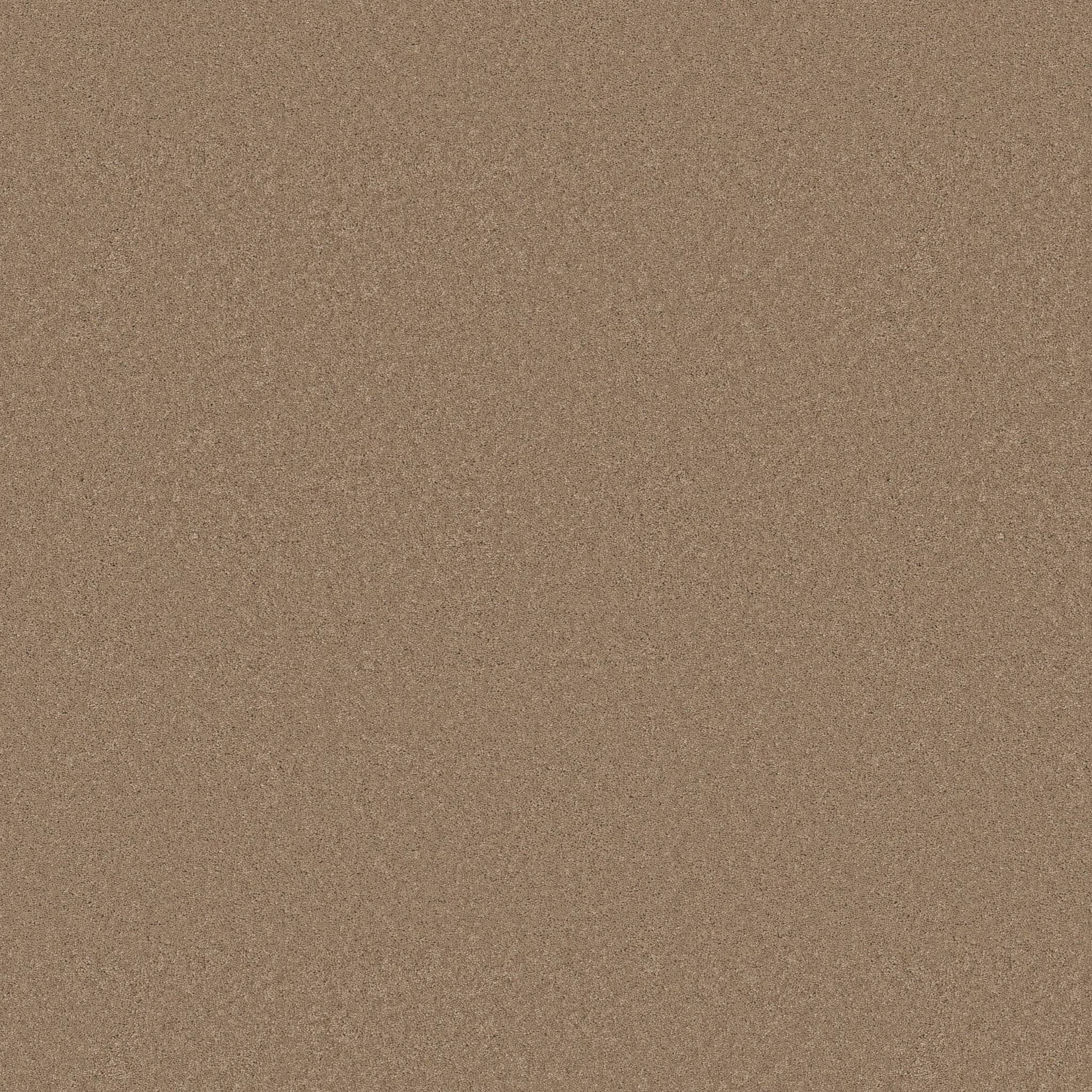 Enduring Charm Carpet - Biscotti Zoomed Swatch Image