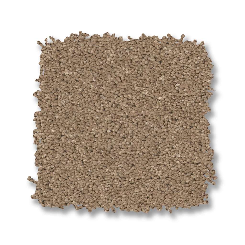 Enduring Charm Carpet - Biscotti  Swatch Image 