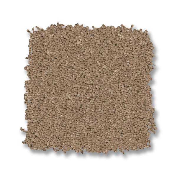 Style Enduring Charm Carpet - Biscotti Swatch
