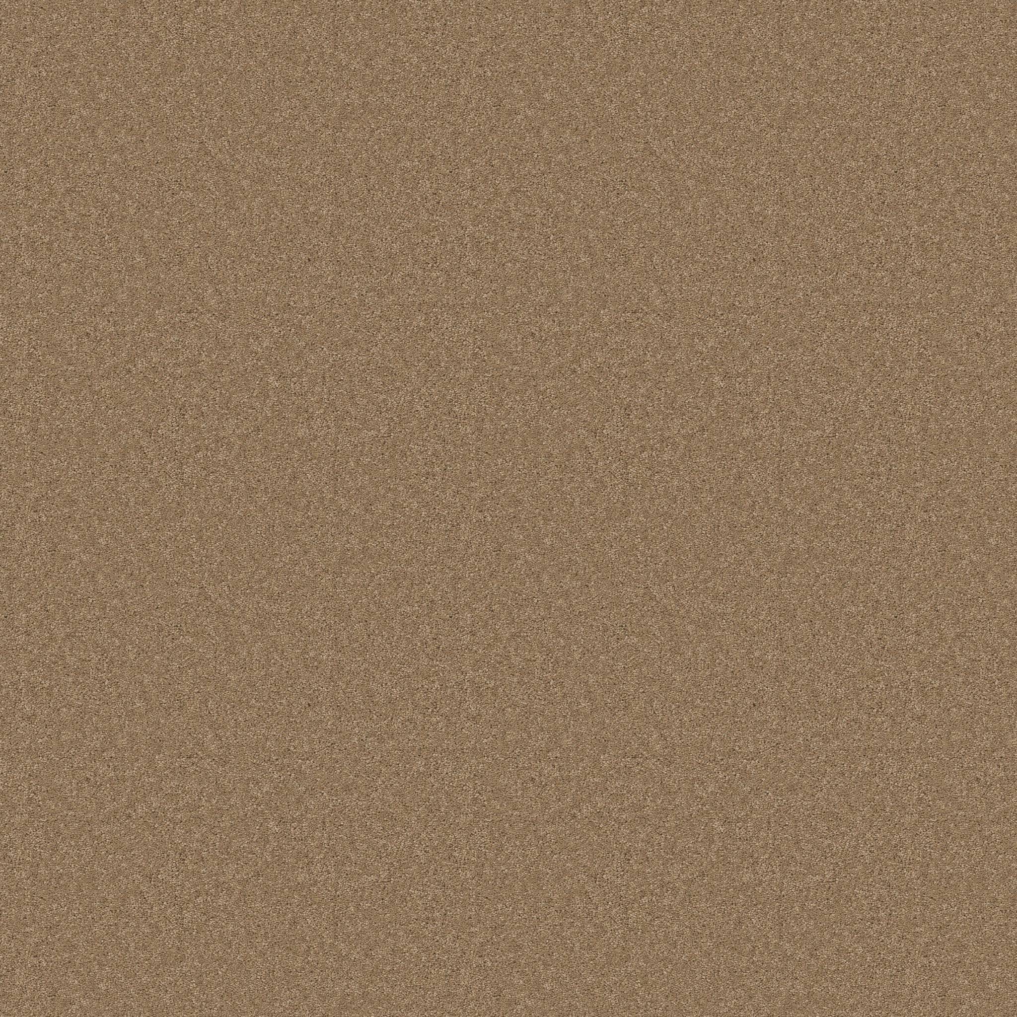 Enduring Charm Carpet - Prairie Zoomed Swatch Image