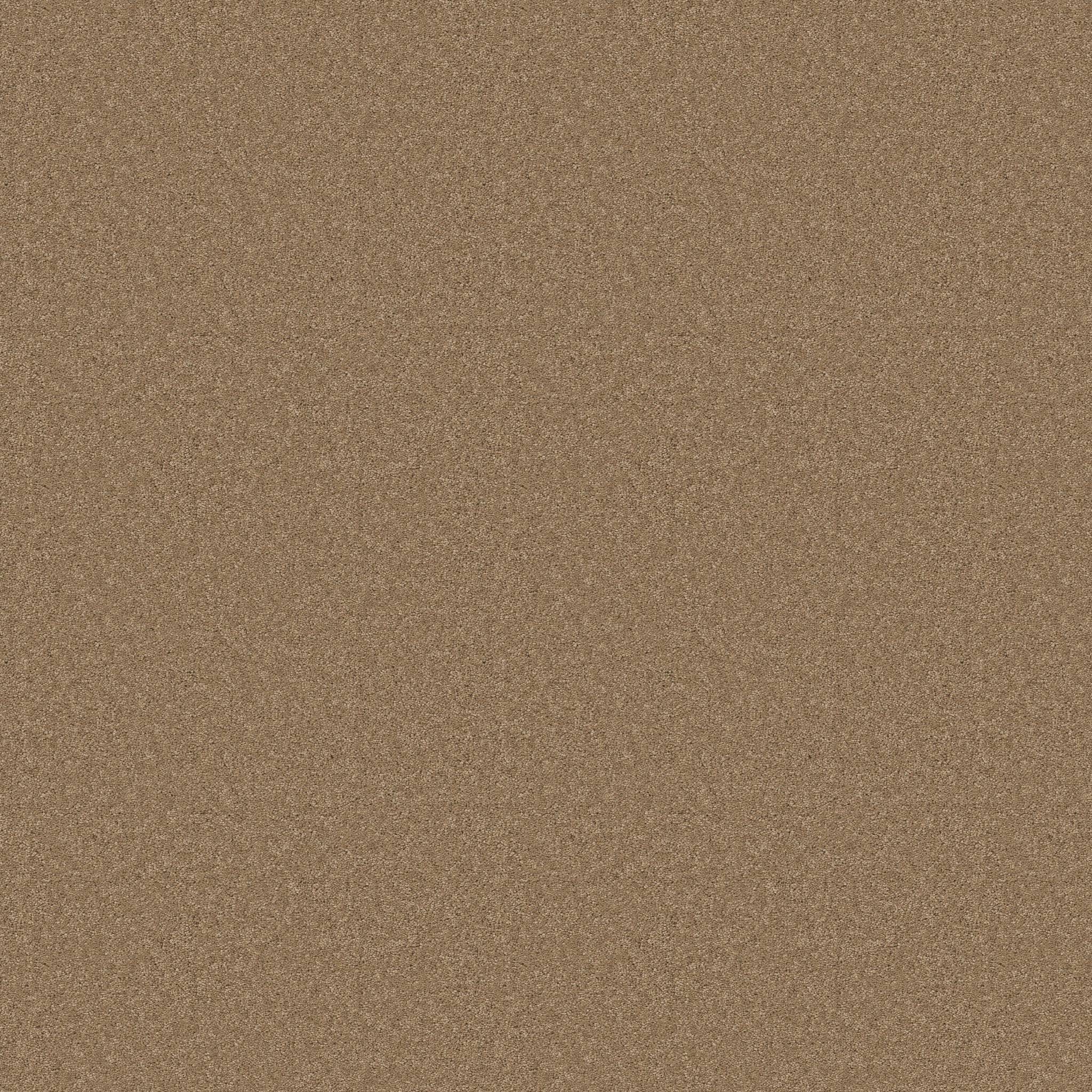 Enduring Charm Carpet - Prairie Zoomed Swatch Image