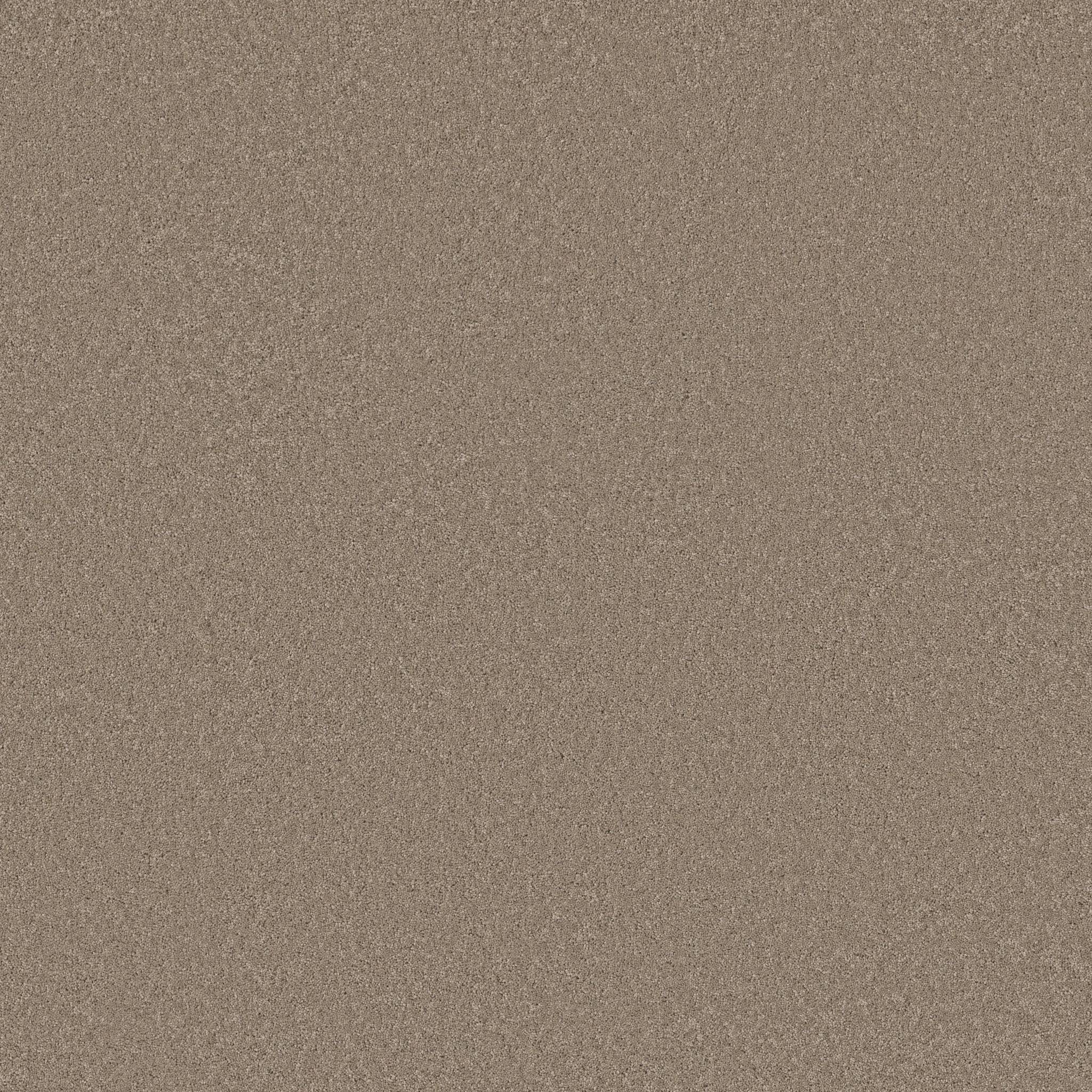 Enduring Charm Carpet - Tuffet Zoomed Swatch Image