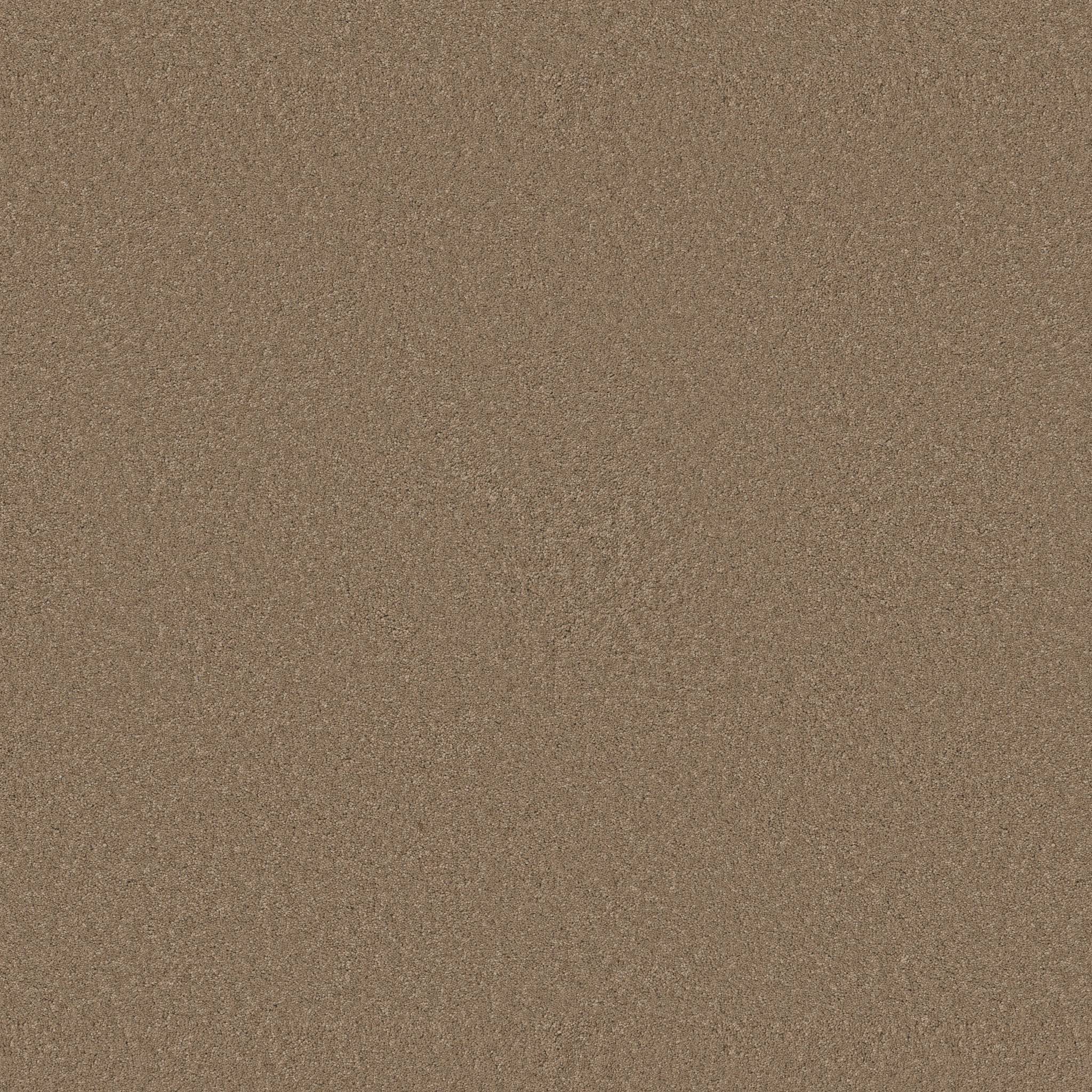 Enduring Charm Carpet - Latte Zoomed Swatch Image