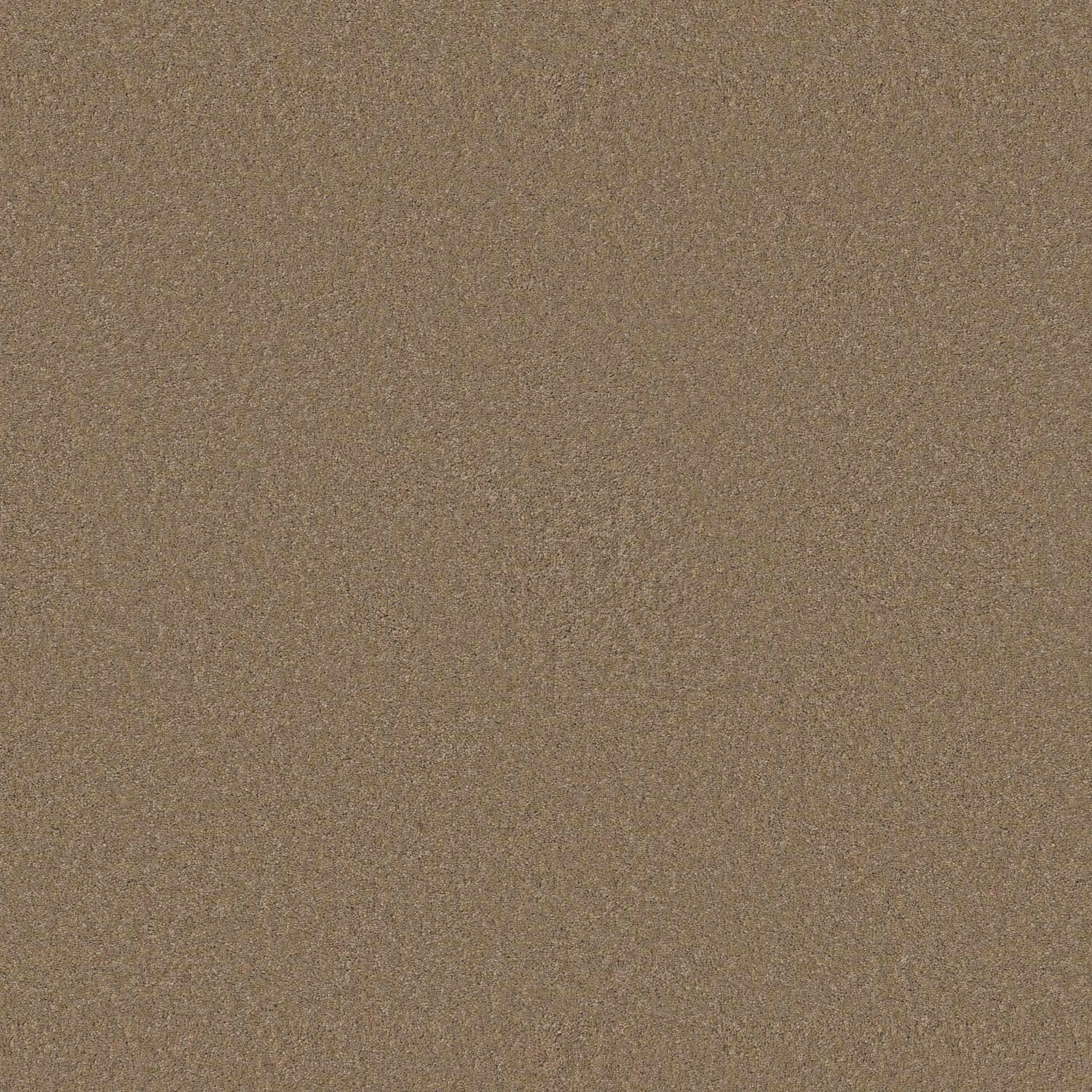 Enduring Charm Carpet - Latte Zoomed Swatch Image