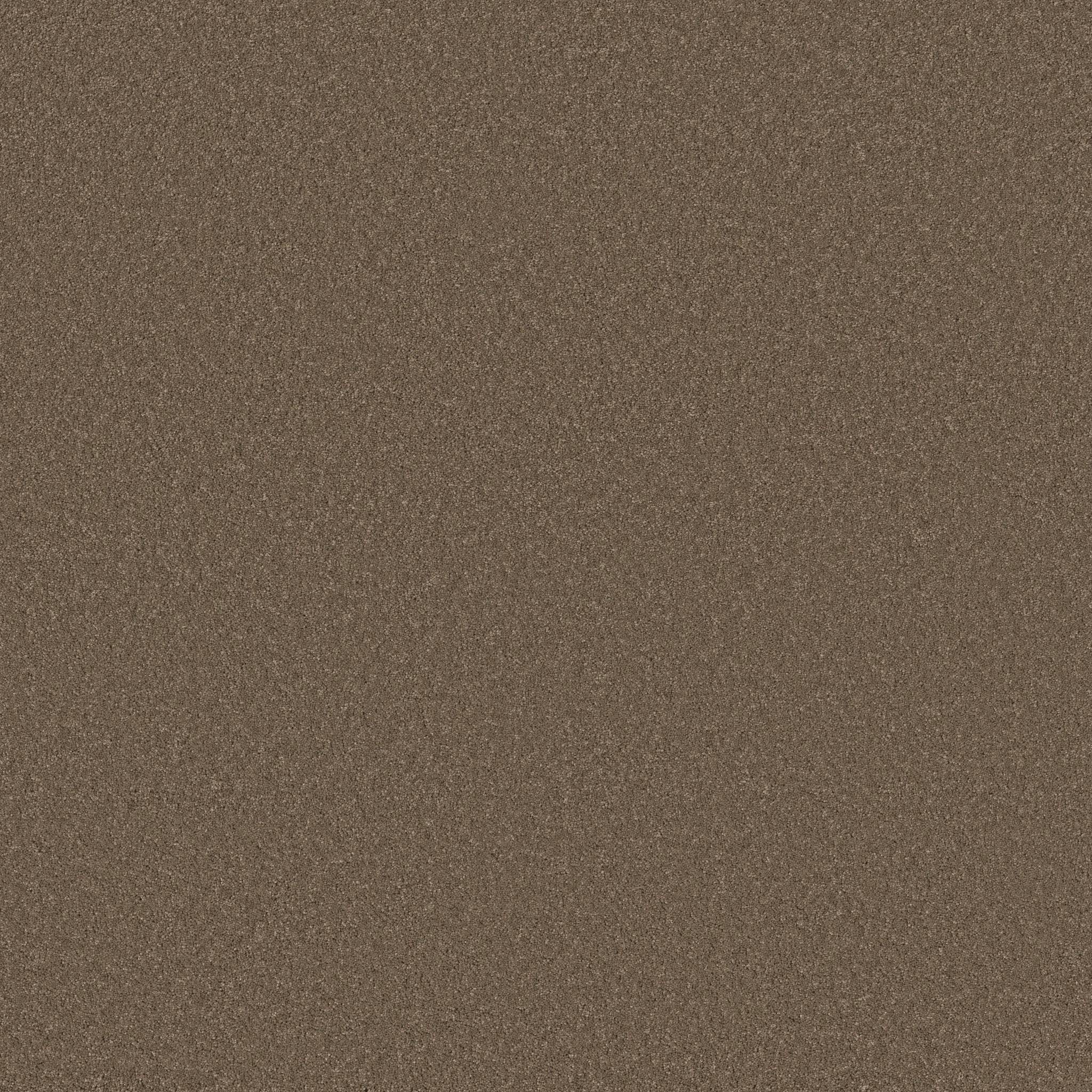 Enduring Charm Carpet - Carafe Zoomed Swatch Image