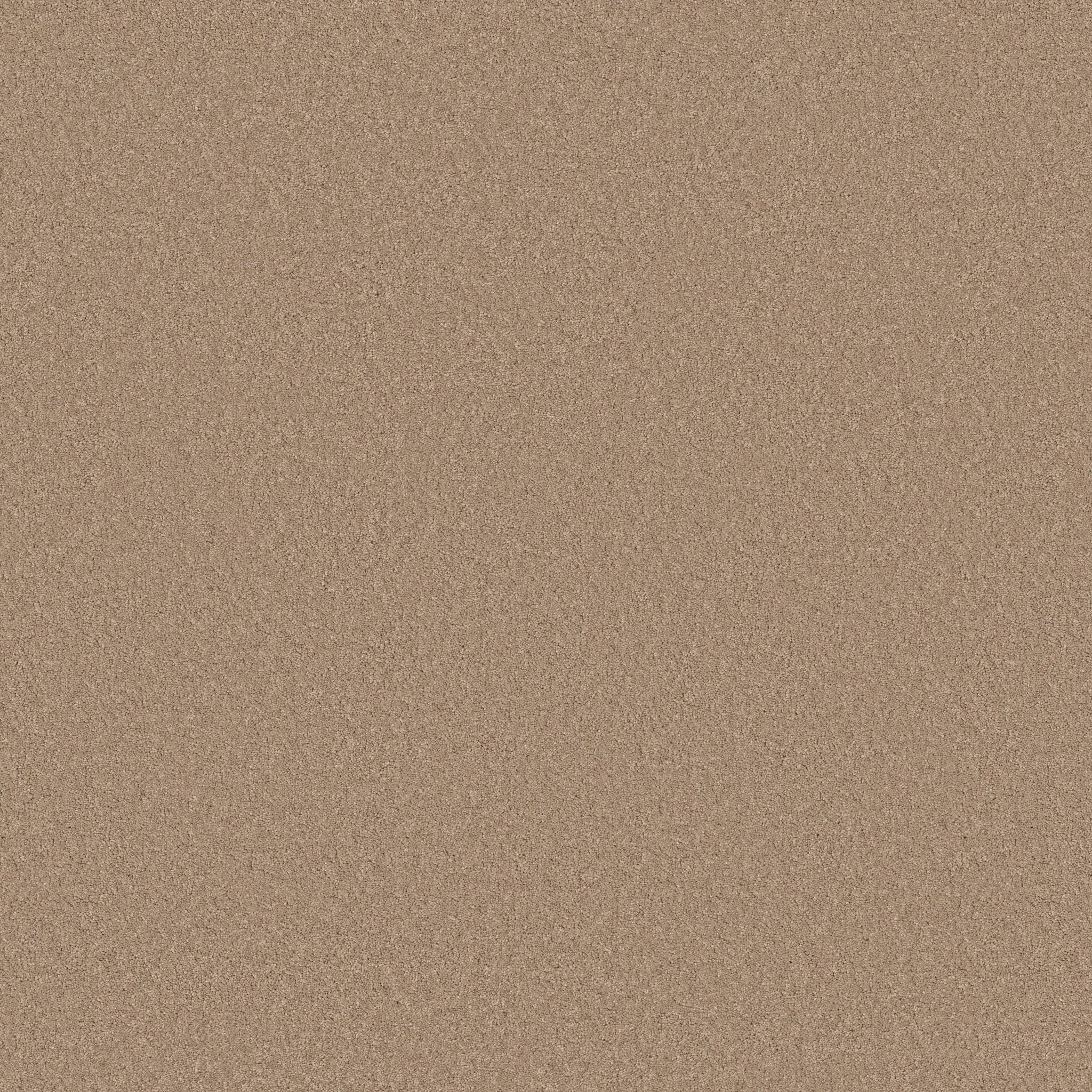 Enduring Charm Carpet - Warm Sand Zoomed Swatch Image