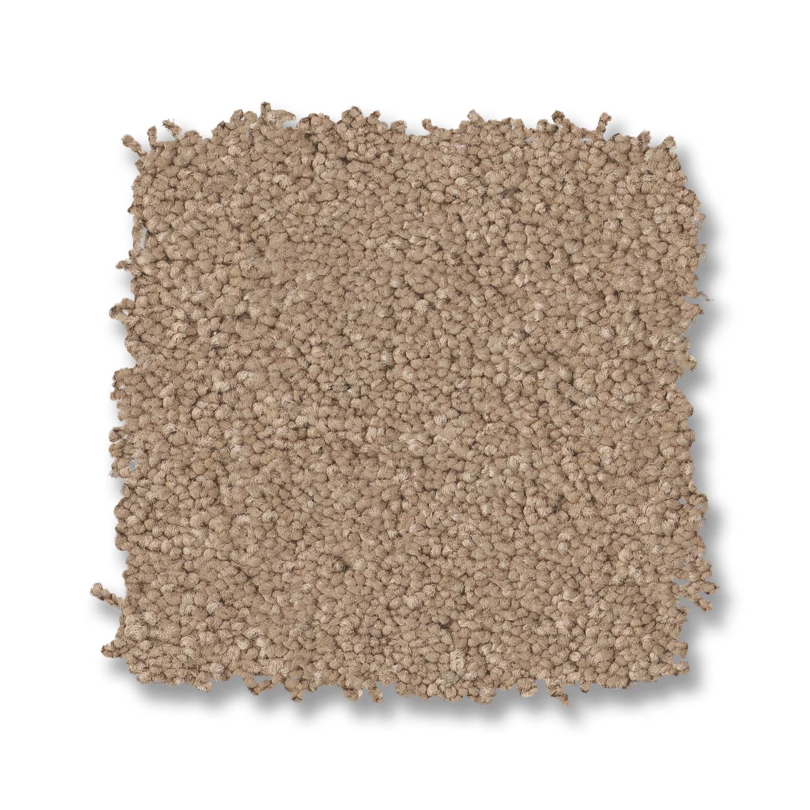 Enduring Charm Carpet - Warm Sand Swatch Thumbnail pupop1