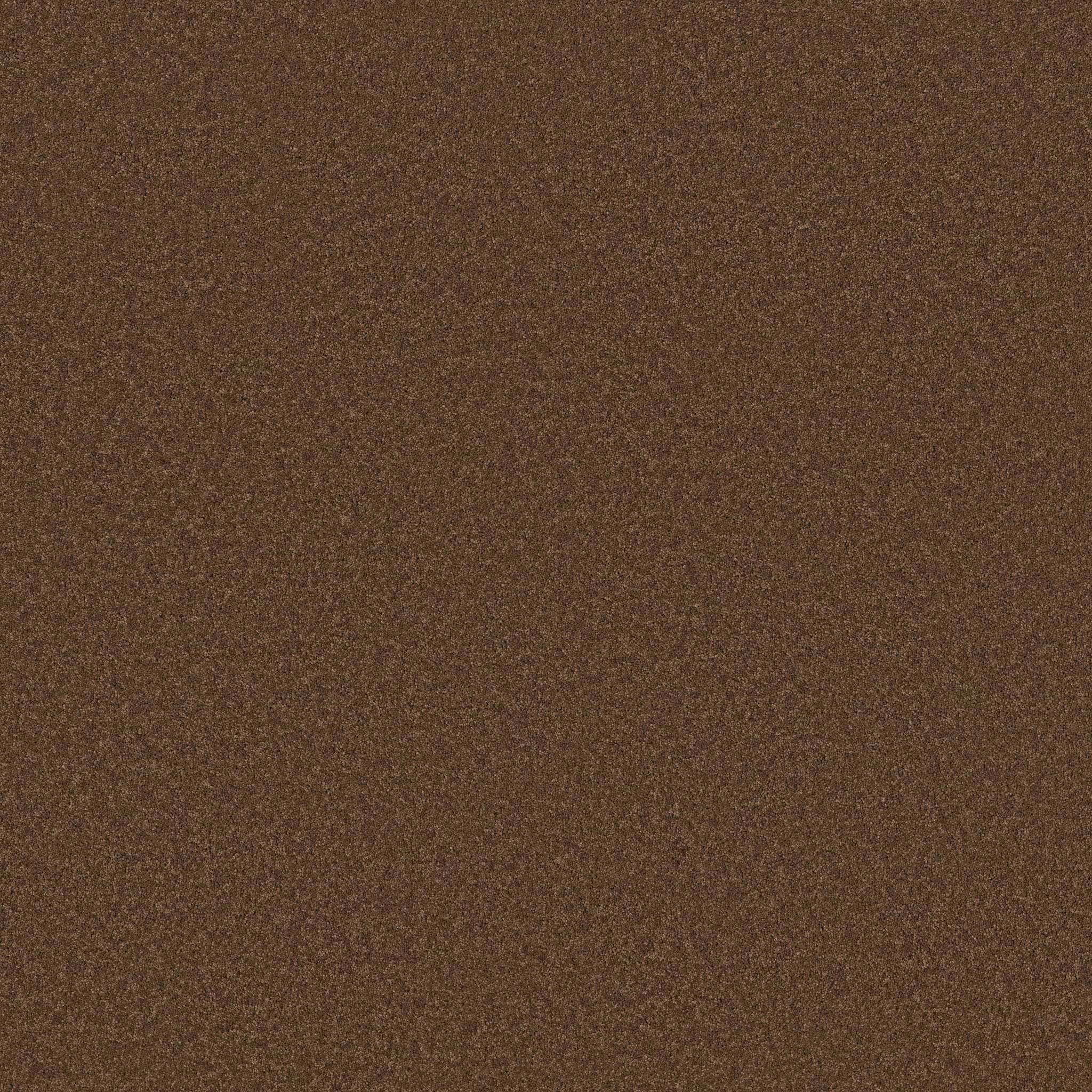 Enduring Charm Carpet - Bronco Zoomed Swatch Image