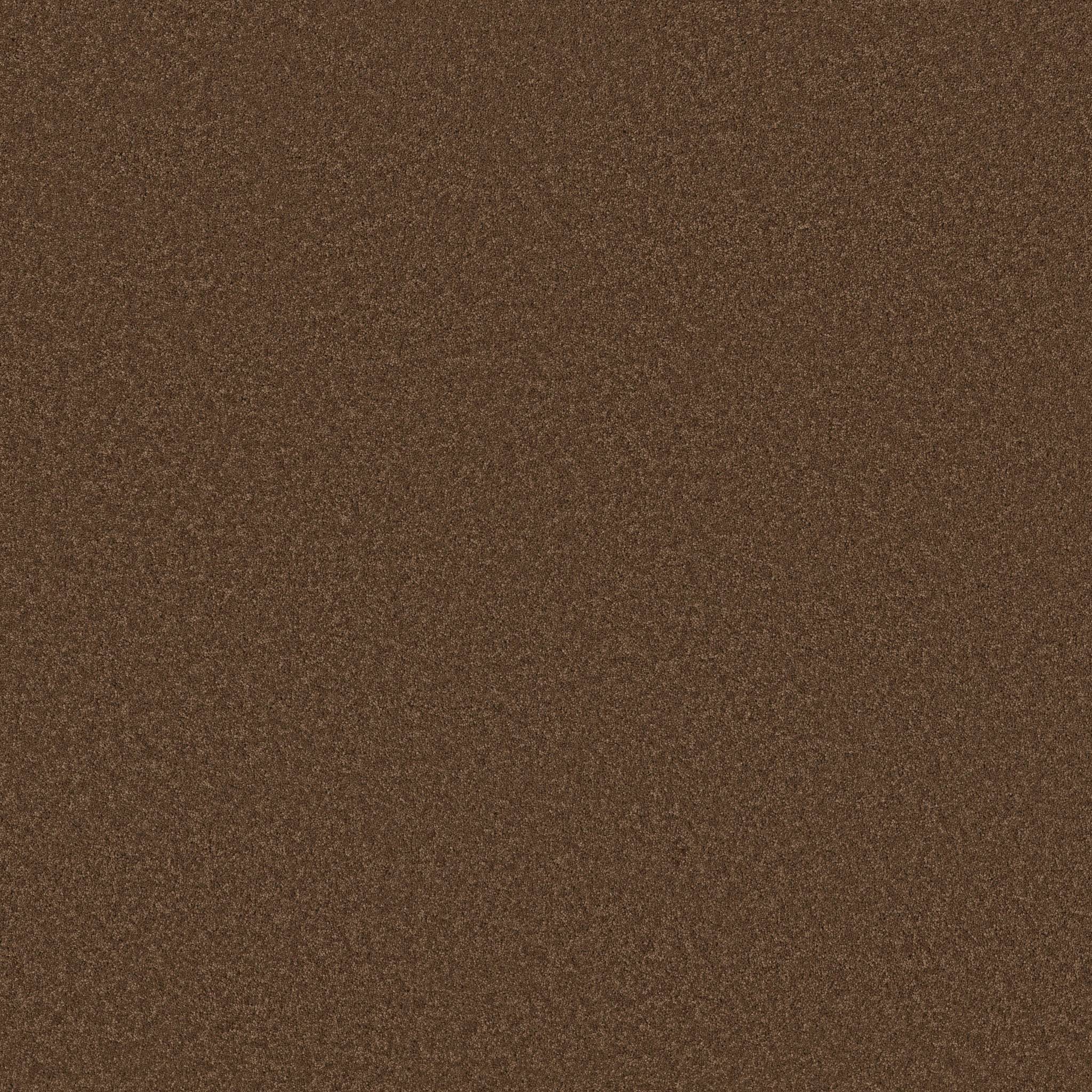 Enduring Charm Carpet - Bronco Zoomed Swatch Image