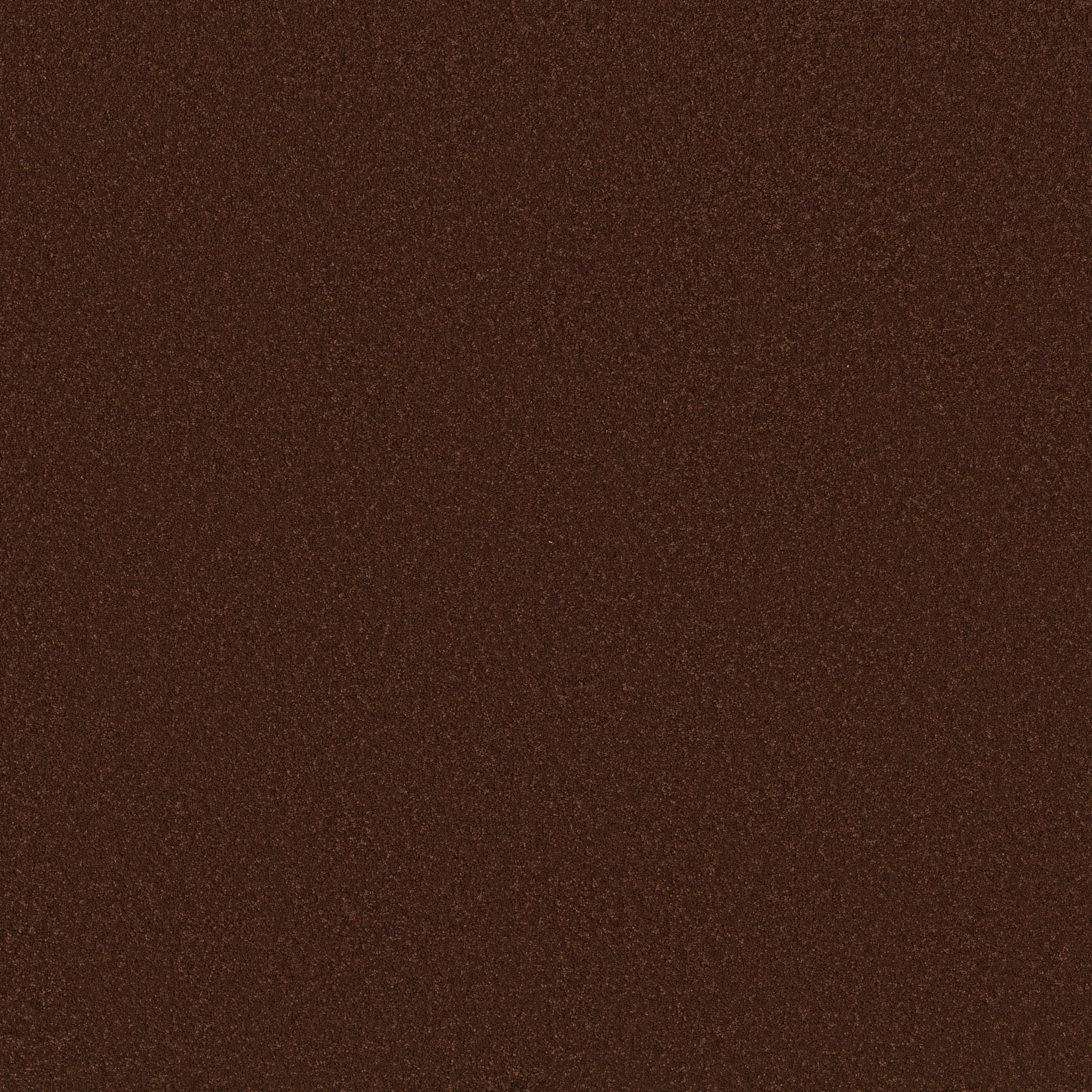 Enduring Charm Carpet - Cinnabar Zoomed Swatch Image