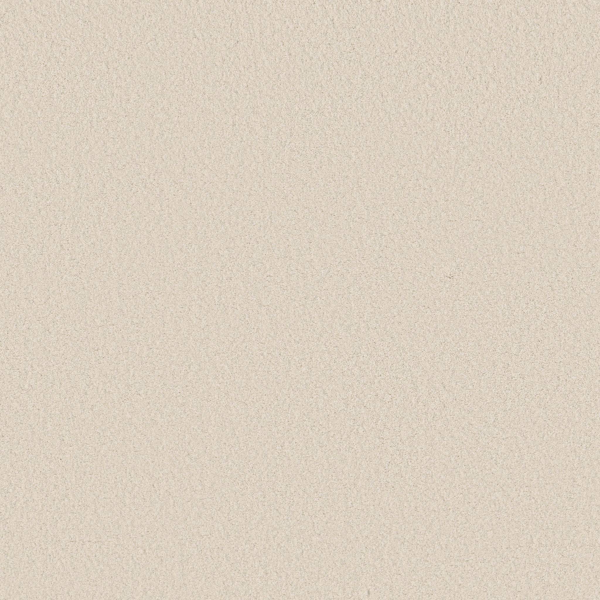 Elegant Beauty Carpet - Cloud Zoomed Swatch Image