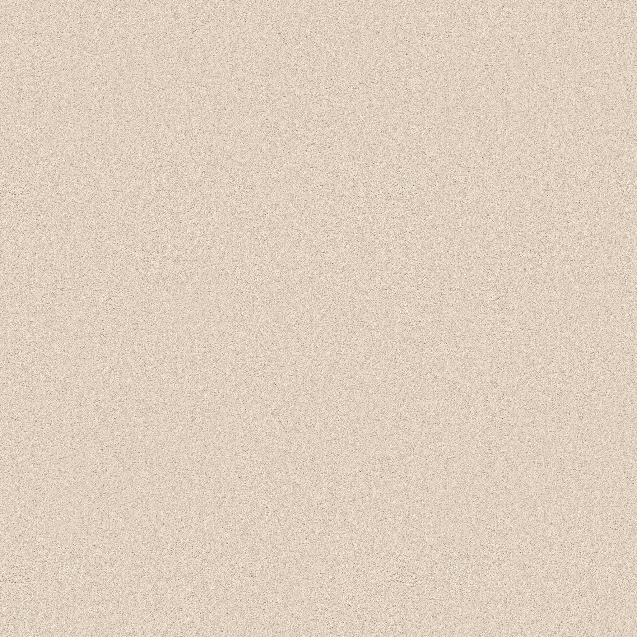 Elegant Beauty Carpet - Angora Zoomed Swatch Image