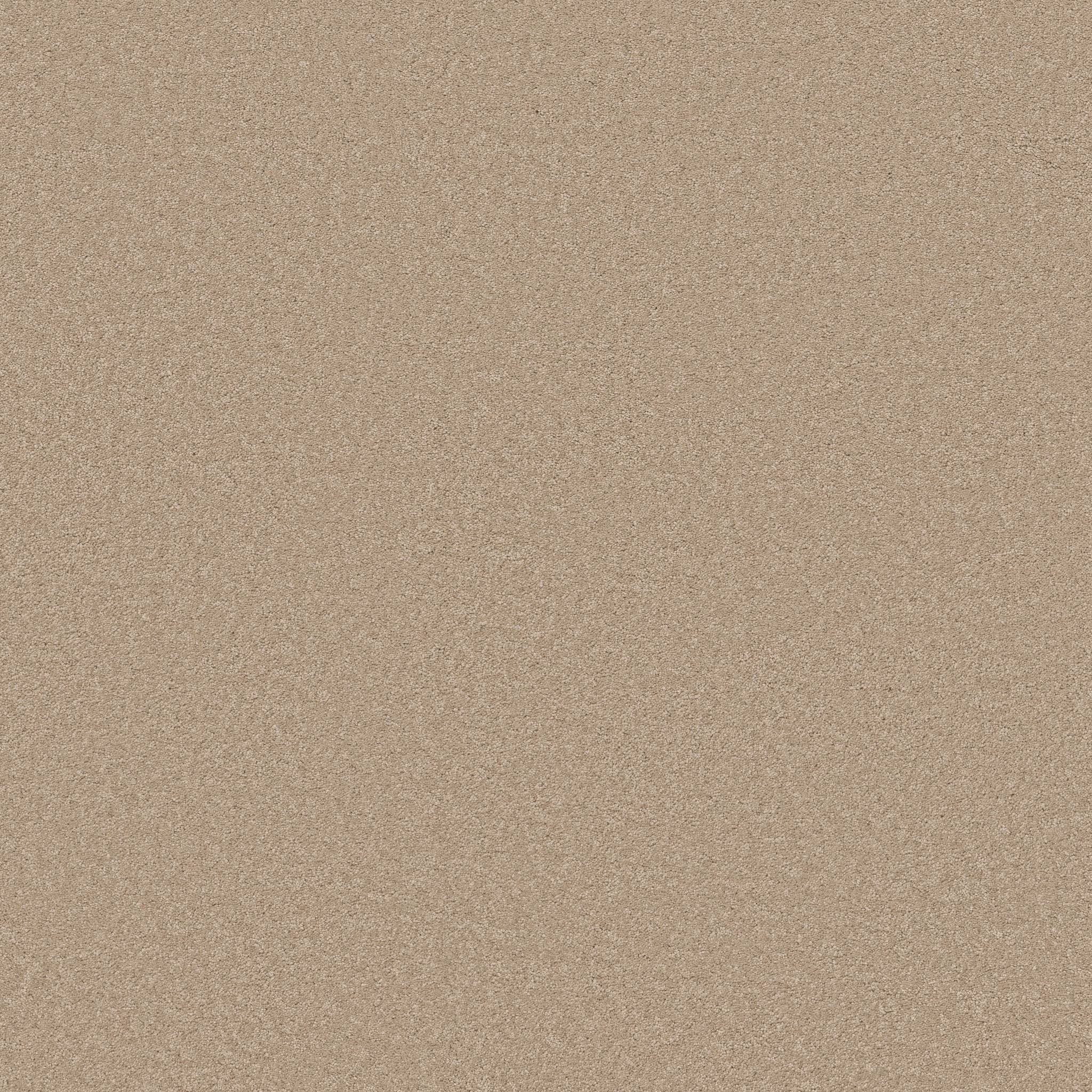 Elegant Beauty Carpet - Transparent Zoomed Swatch Image
