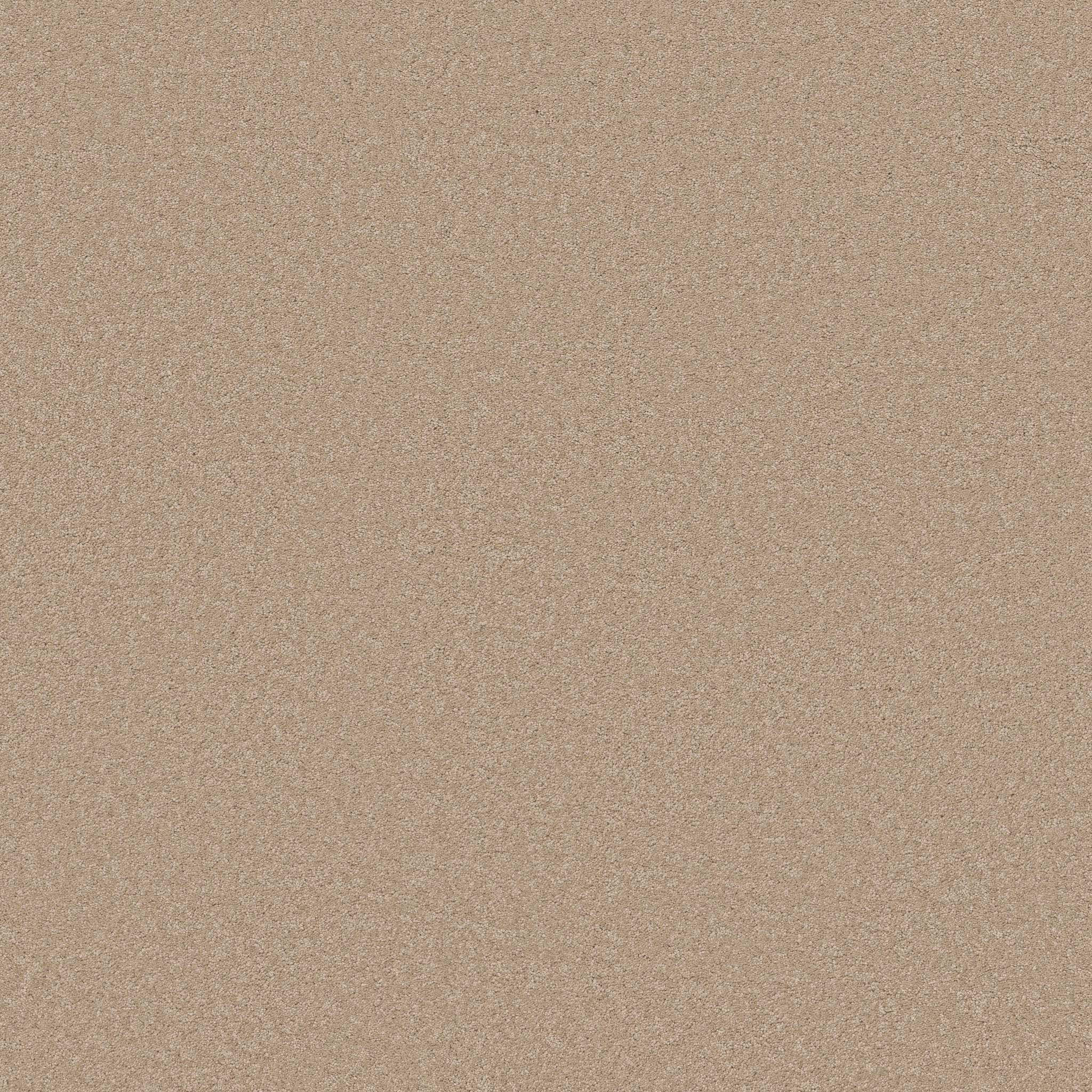 Elegant Beauty Carpet - Transparent Zoomed Swatch Image