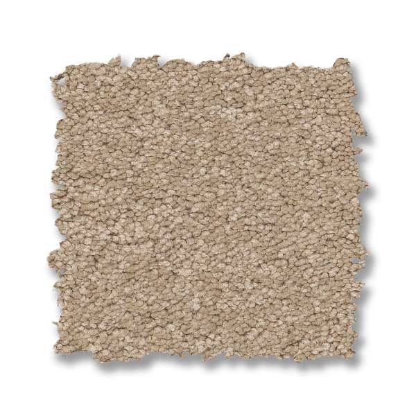 Style Elegant Beauty Carpet - Transparent Swatch