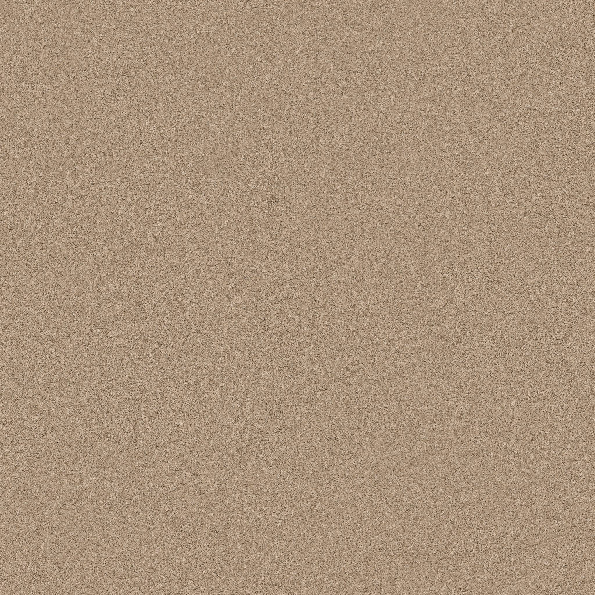 Elegant Beauty Carpet - Brulee Zoomed Swatch Image