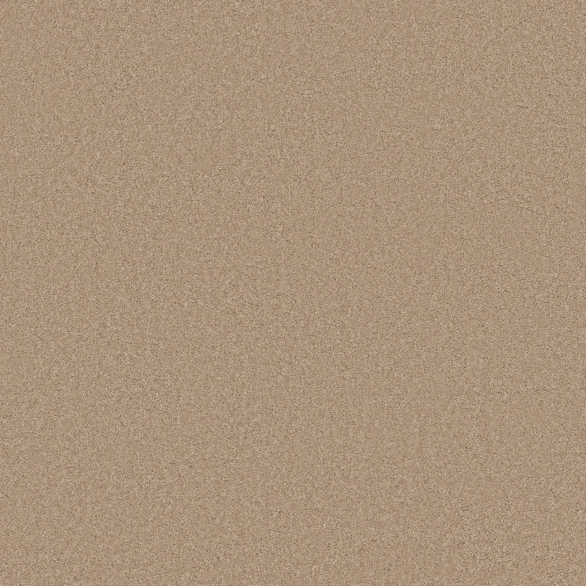 Elegant Beauty Carpet - Brulee Zoomed Swatch Image