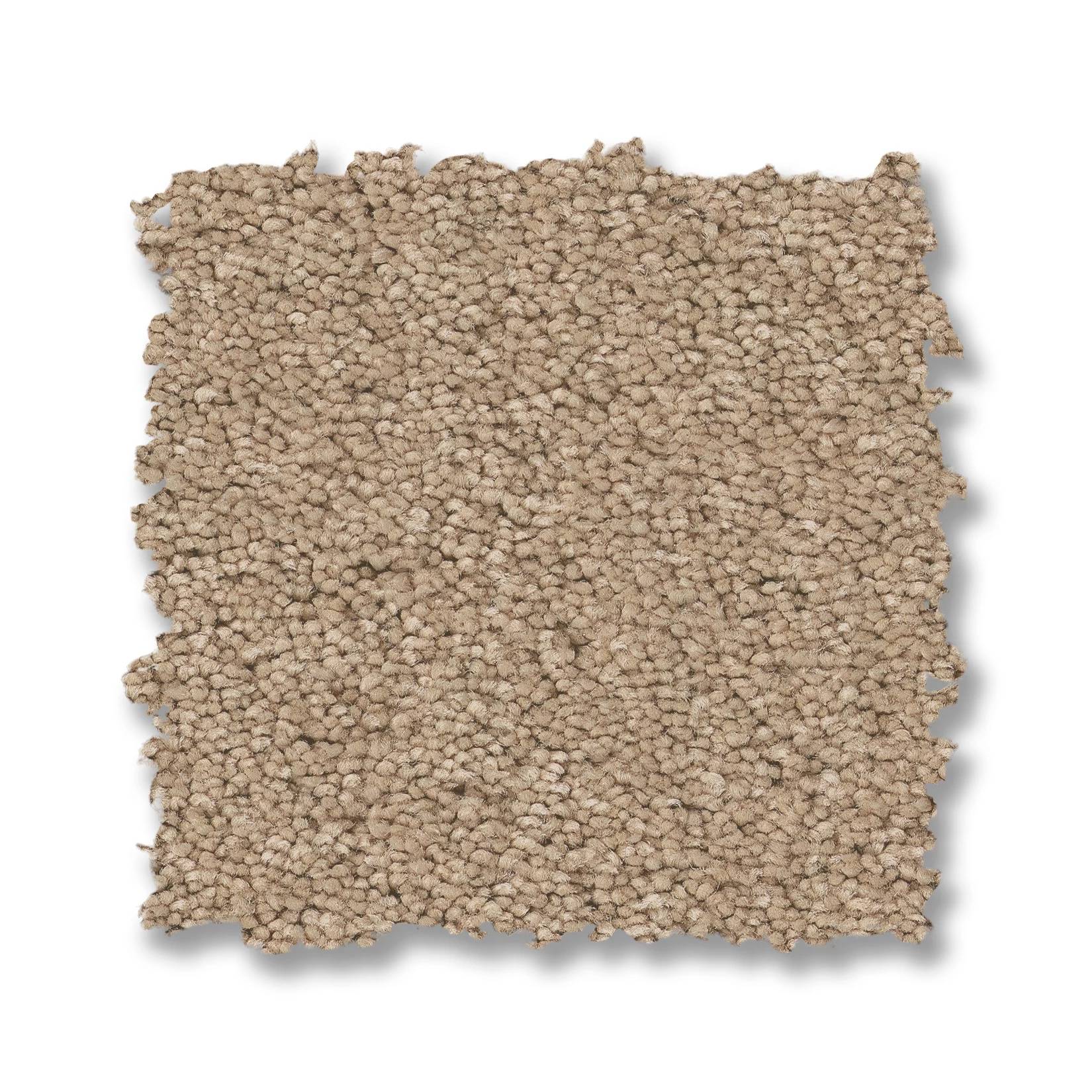 Elegant Beauty Carpet - Brulee Swatch Thumbnail pupop1