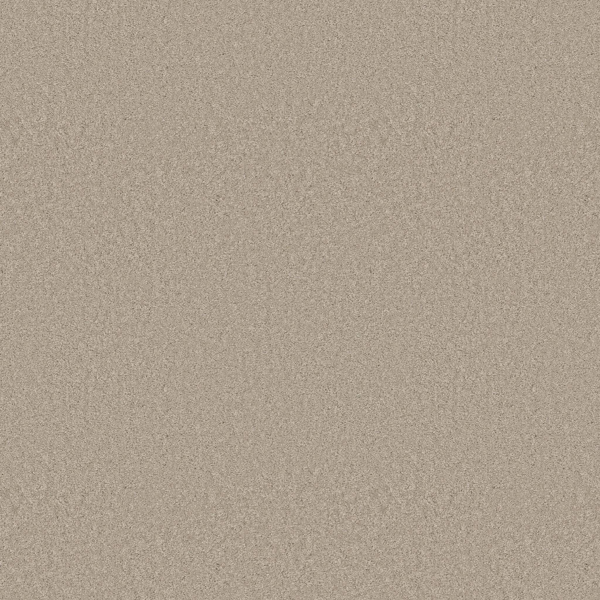 Elegant Beauty Carpet - Sandshell Zoomed Swatch Image