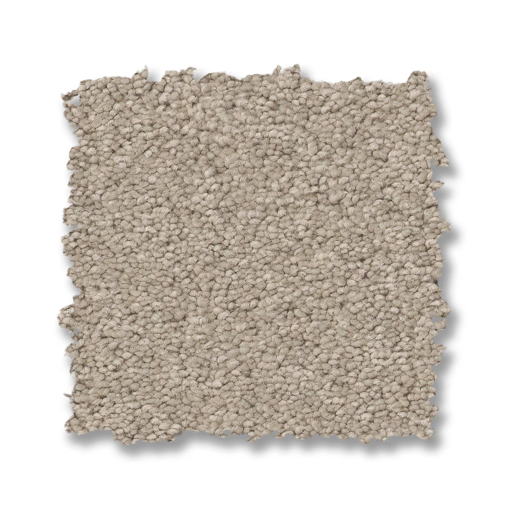 Elegant Beauty Carpet - Sandshell Swatch Thumbnail pupop1