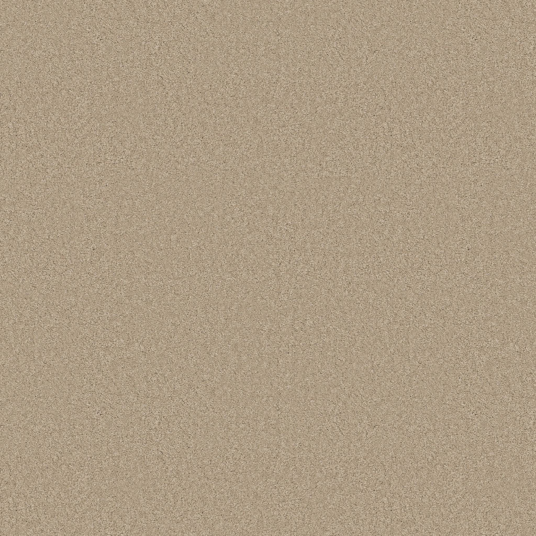 Elegant Beauty Carpet - Buff Zoomed Swatch Image