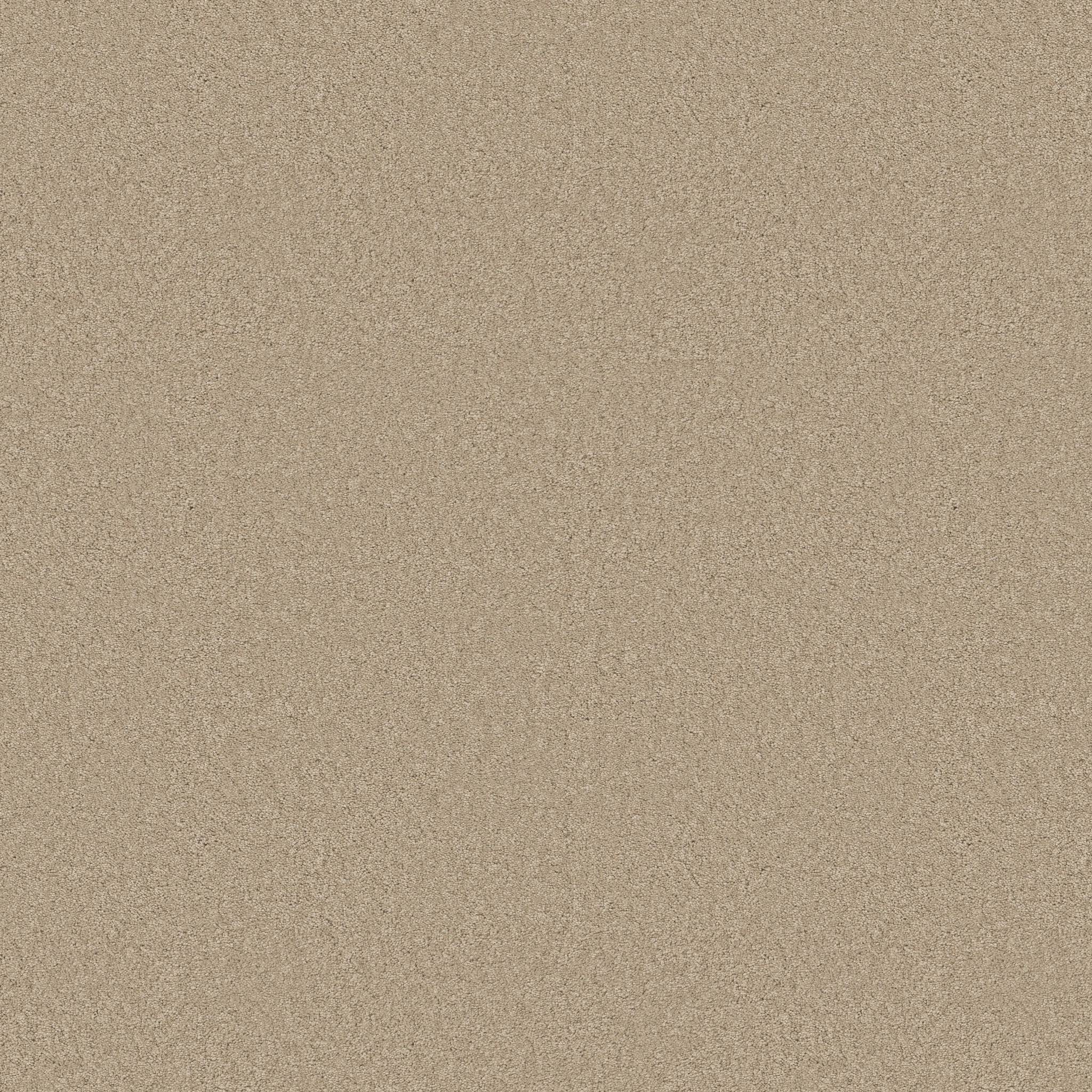 Elegant Beauty Carpet - Buff Zoomed Swatch Image