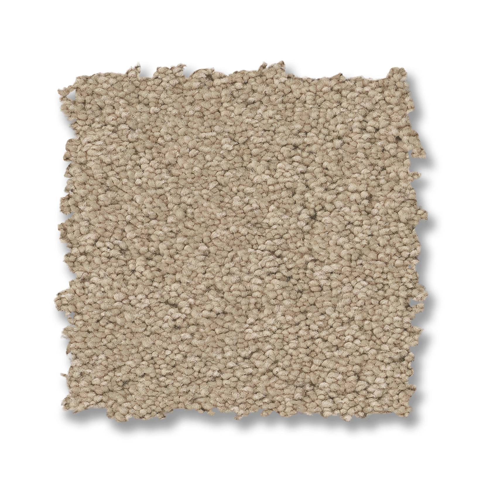 Elegant Beauty Carpet - Buff Swatch Thumbnail pupop1
