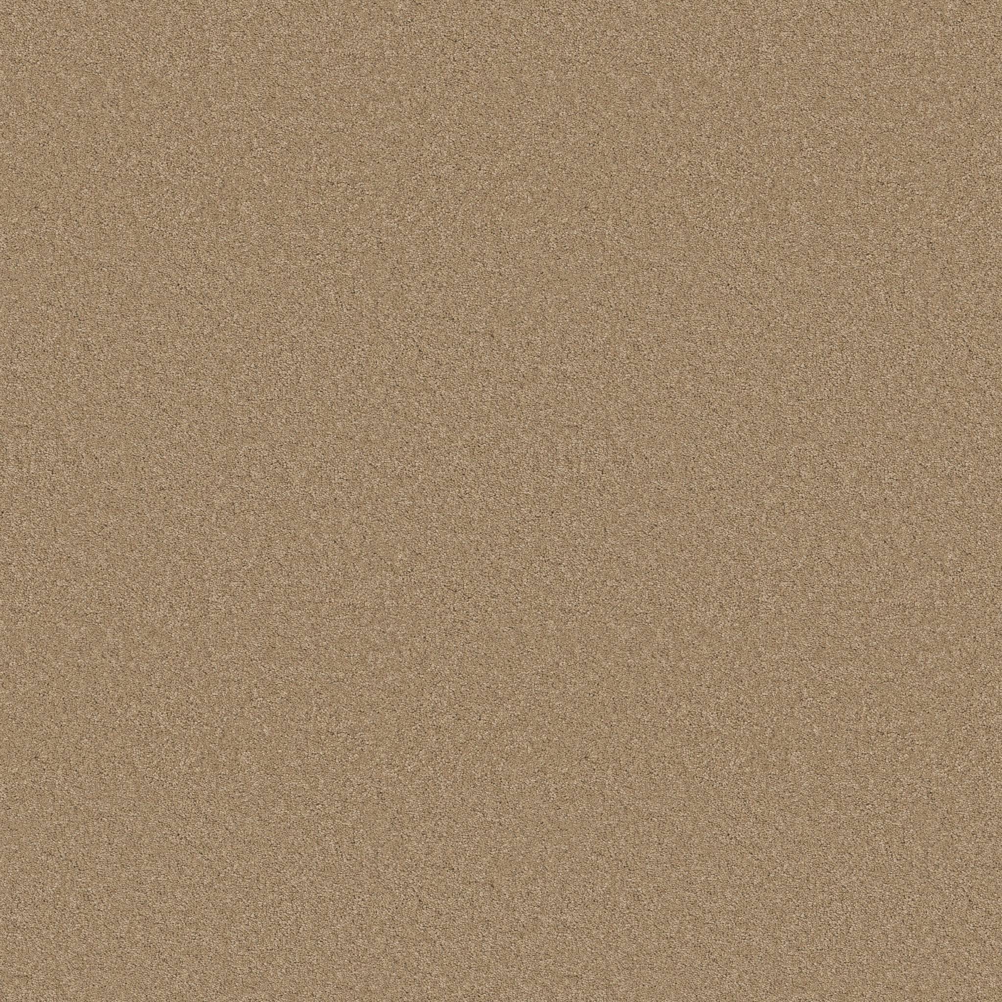 Elegant Beauty Carpet - Natural Zoomed Swatch Image