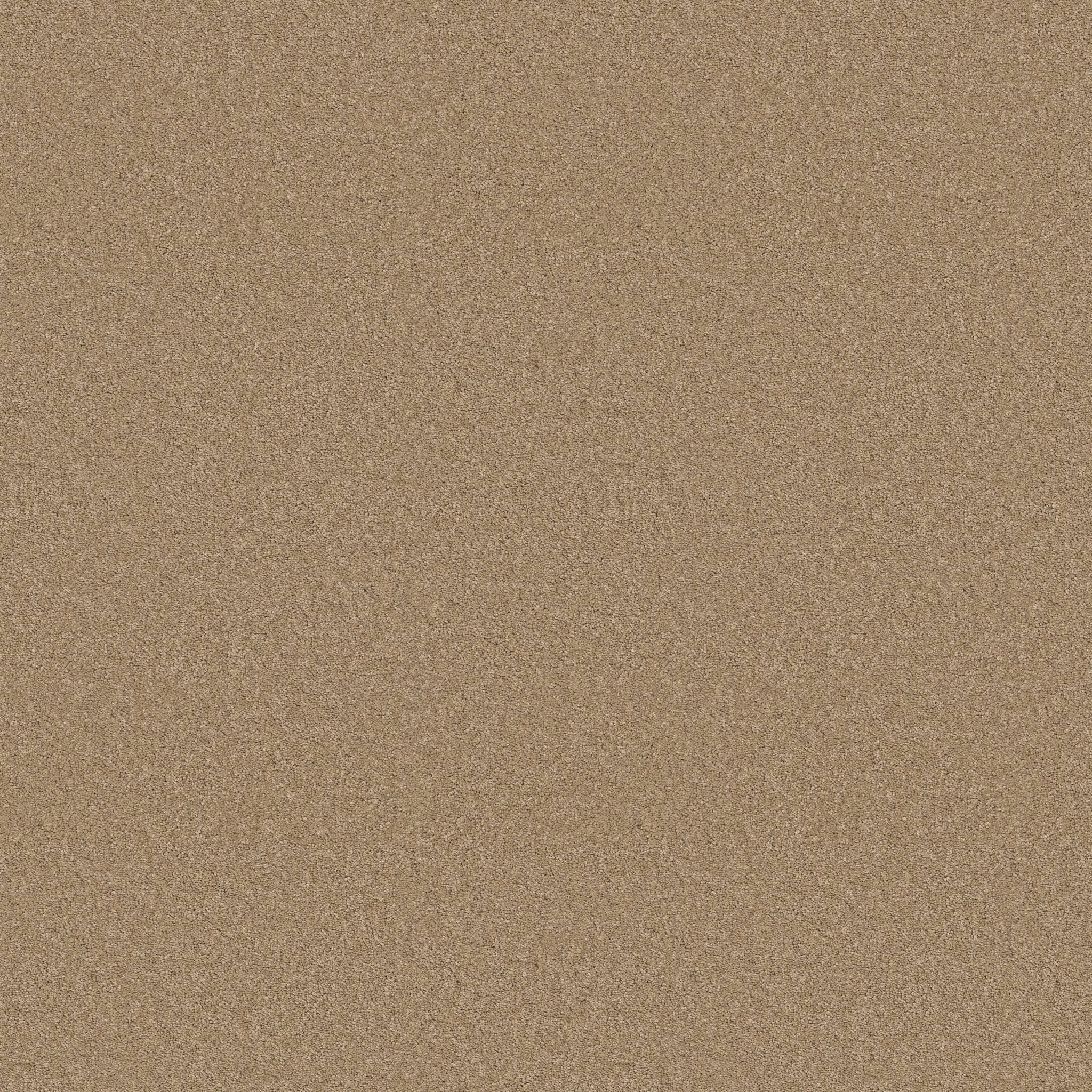 Elegant Beauty Carpet - Natural Zoomed Swatch Image