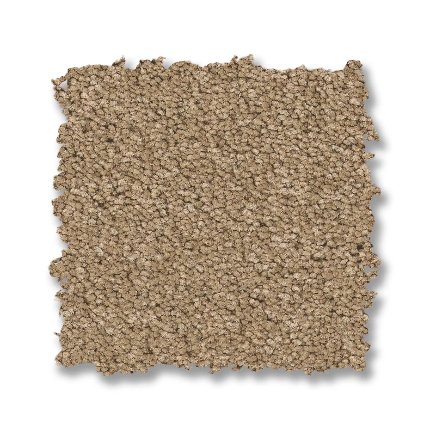 Elegant Beauty Carpet - Natural Swatch Thumbnail pupop1