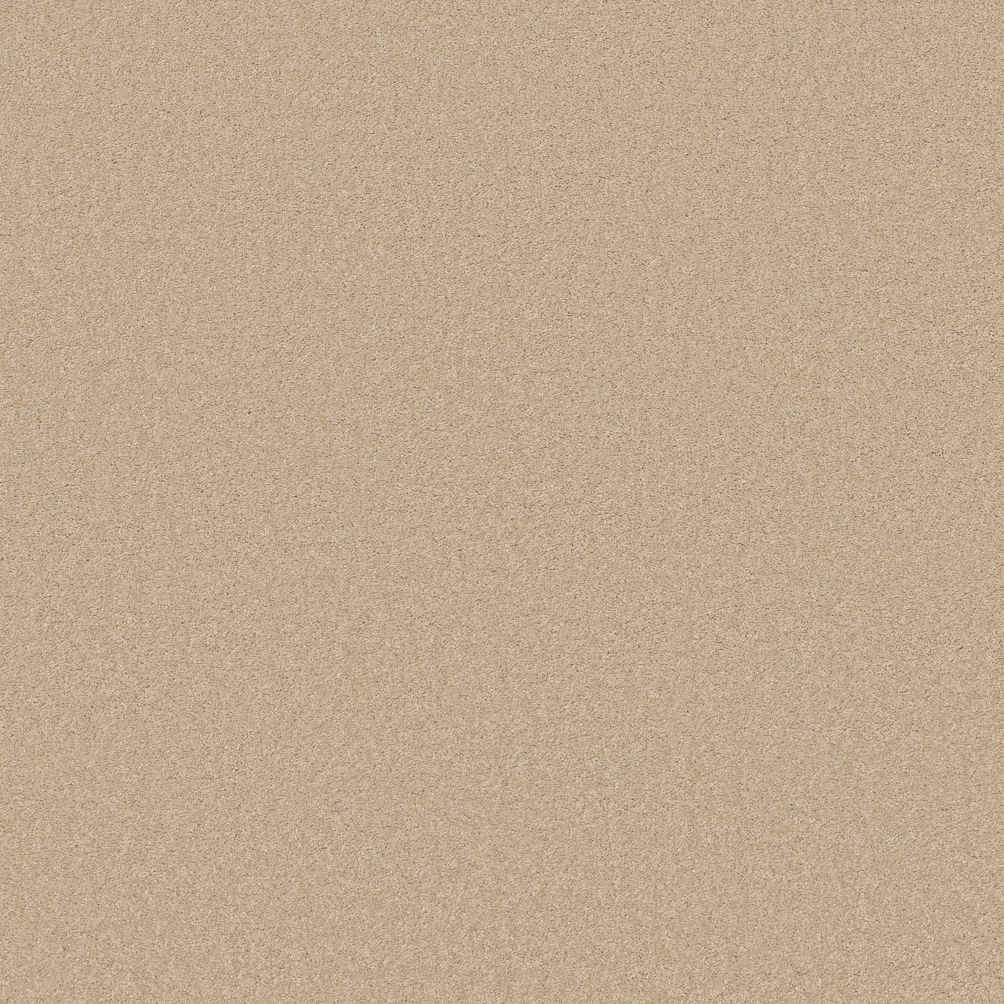 Elegant Beauty Carpet - Papyrus Zoomed Swatch Image