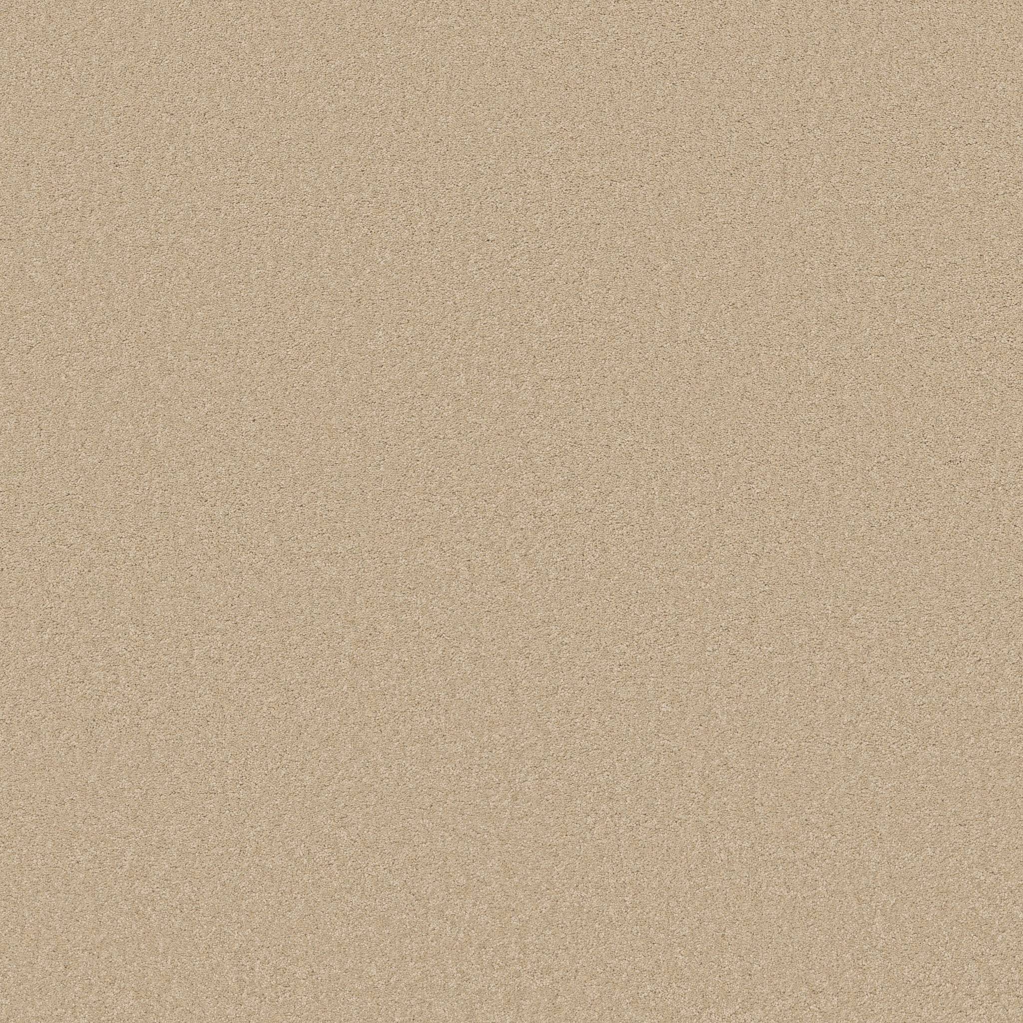 Elegant Beauty Carpet - Papyrus Zoomed Swatch Image