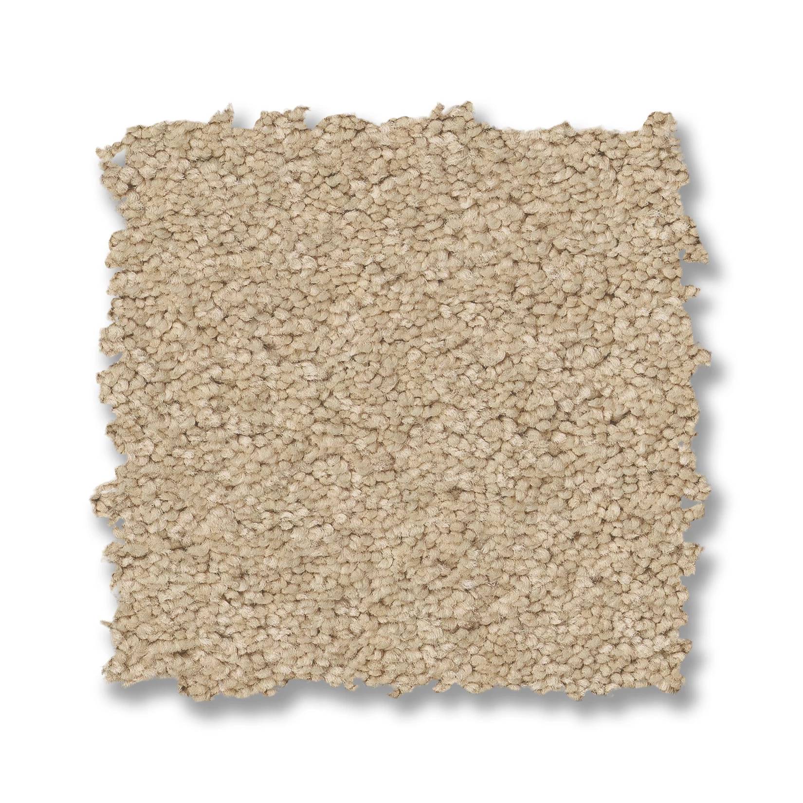 Elegant Beauty Carpet - Papyrus Swatch Thumbnail pupop1