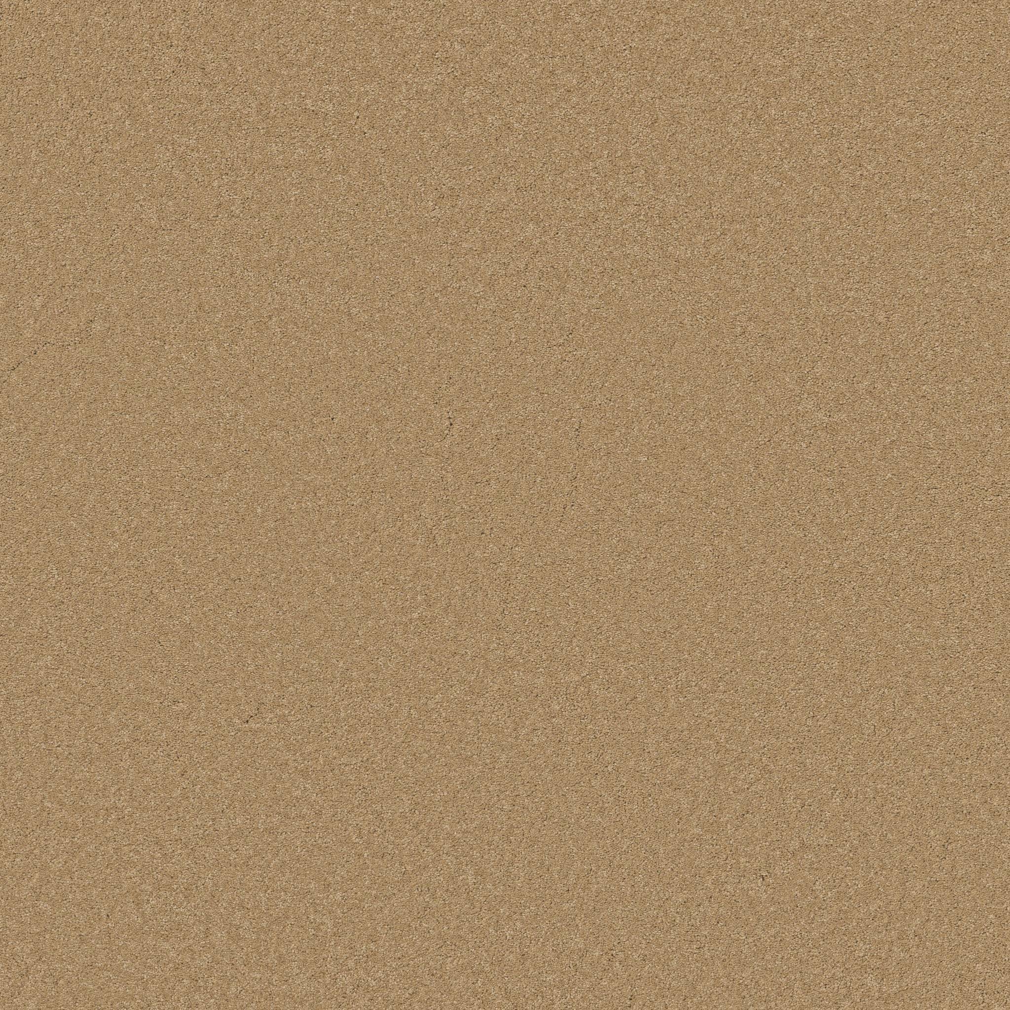 Elegant Beauty Carpet - Winter Wheat Zoomed Swatch Image