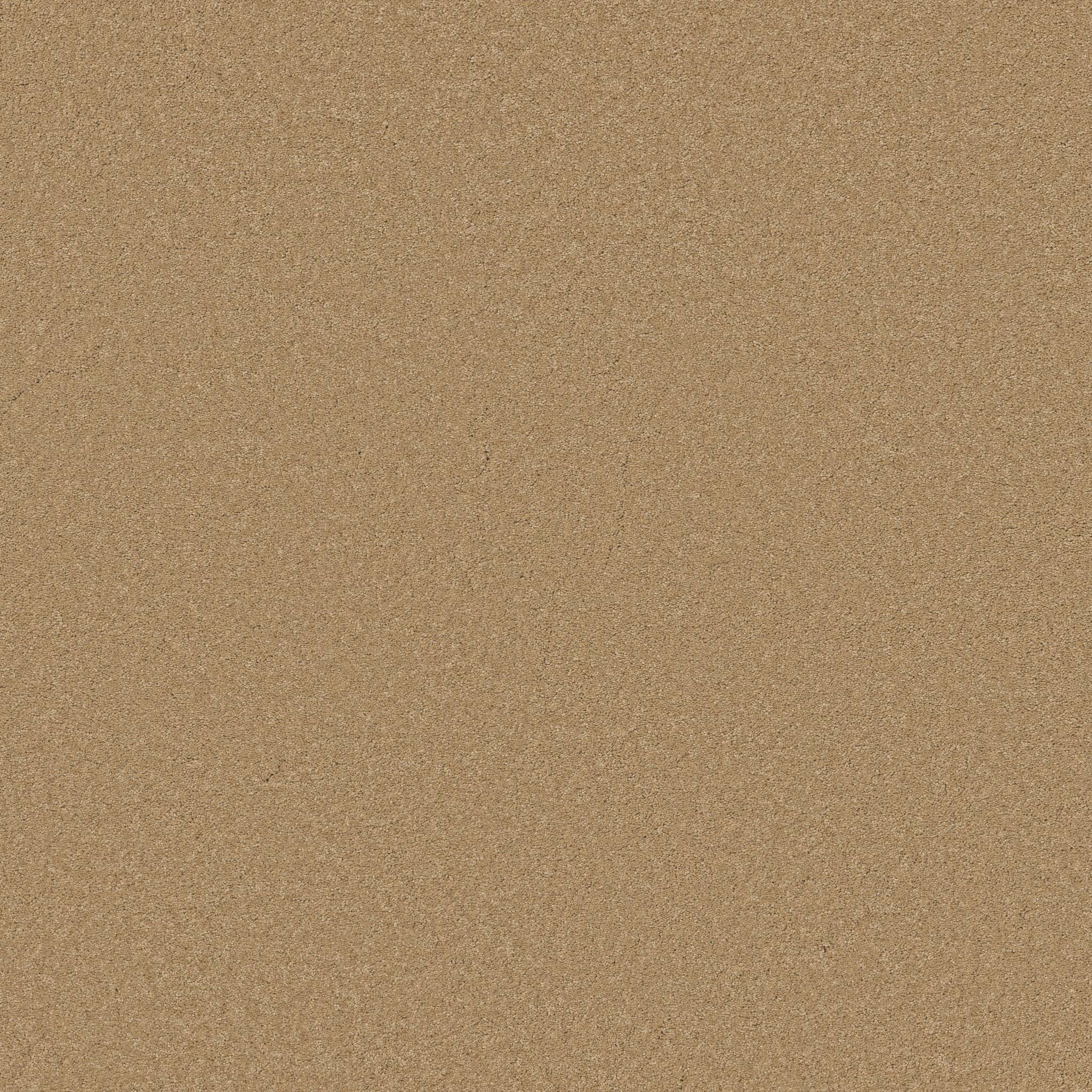 Elegant Beauty Carpet - Winter Wheat Zoomed Swatch Image