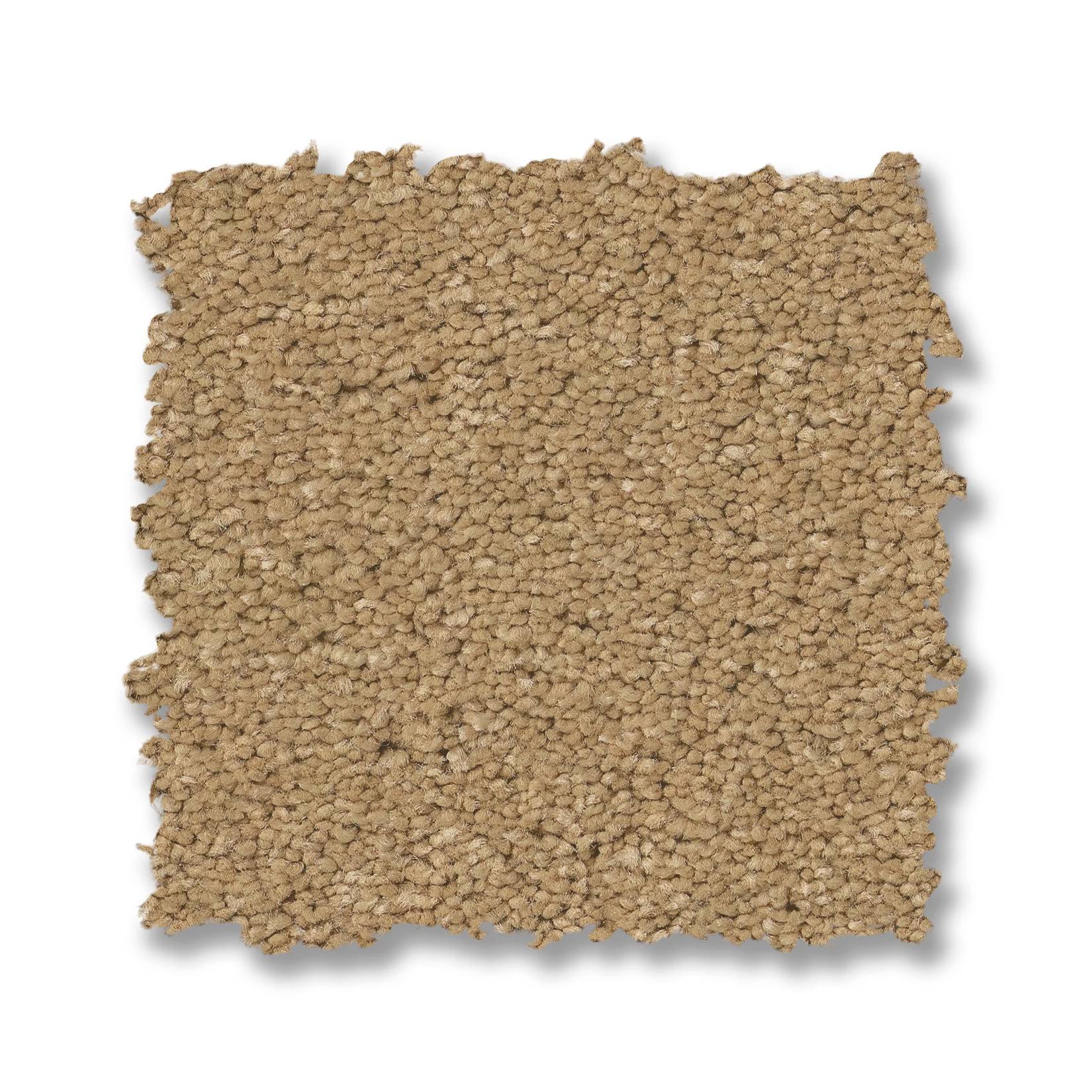 Elegant Beauty Carpet - Winter Wheat Swatch Thumbnail pupop1