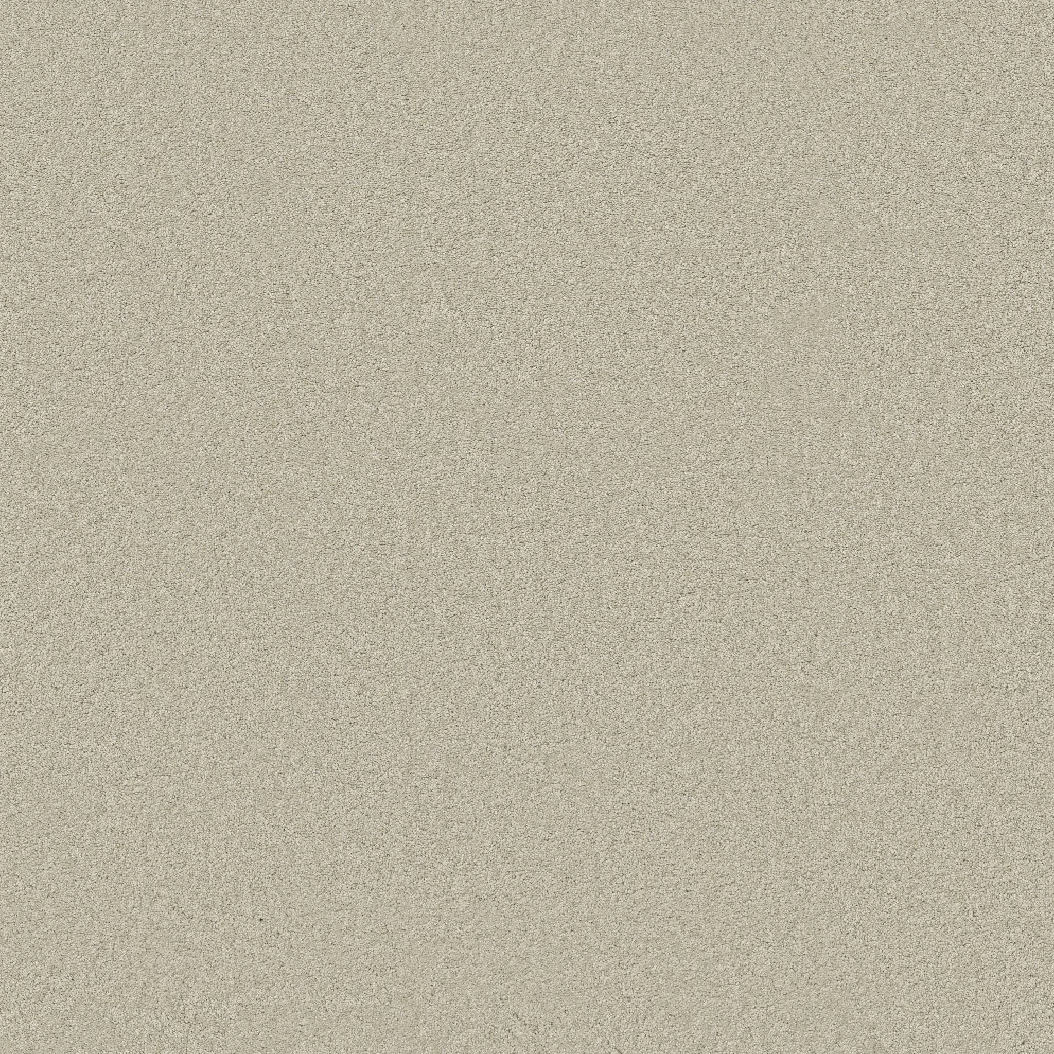 Elegant Beauty Carpet - Aloe Wash Zoomed Swatch Image