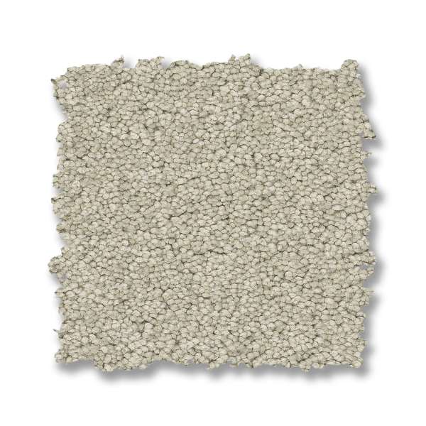 Style Elegant Beauty Carpet - Aloe Wash Swatch